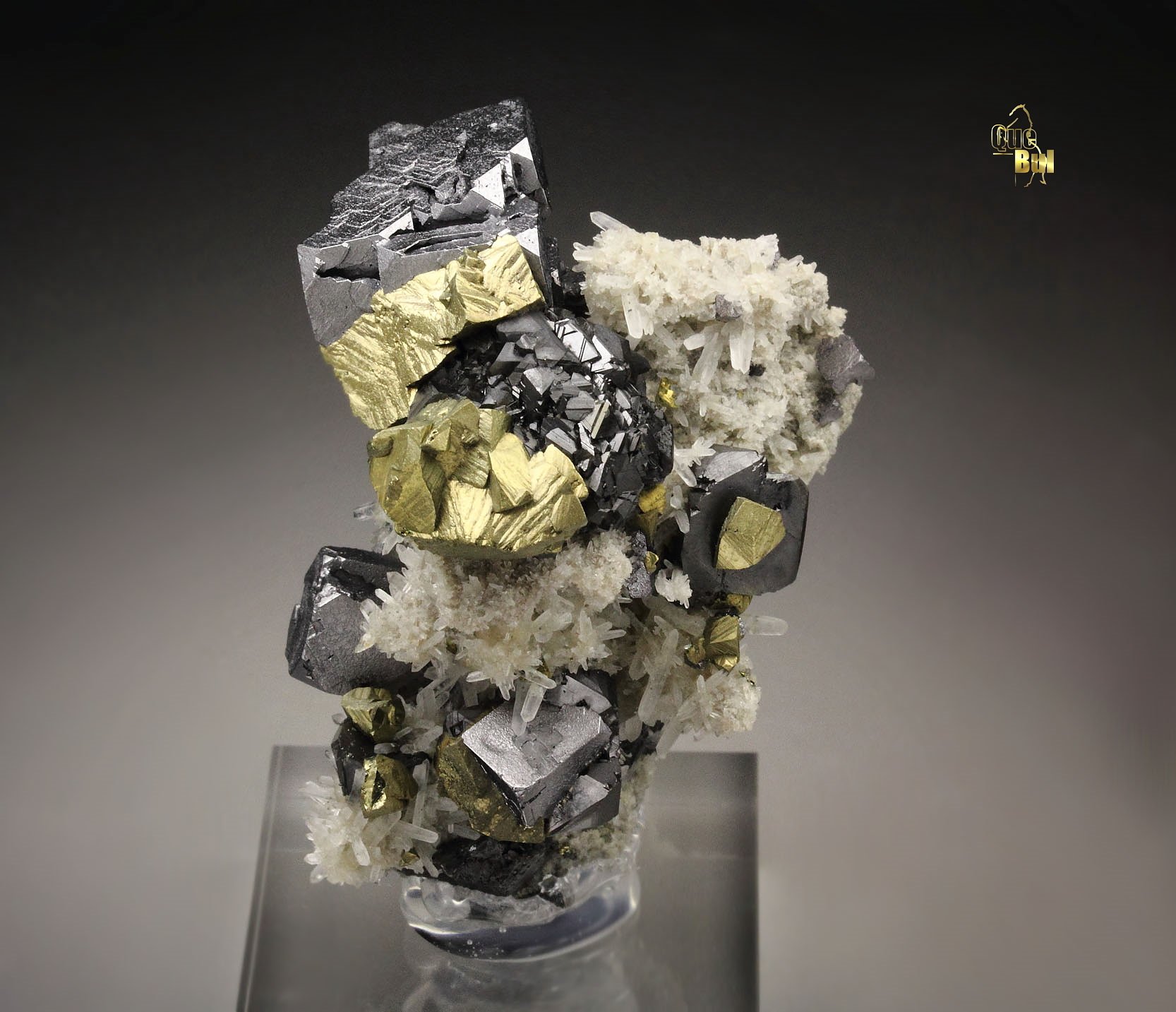 skeletal GALENA, CHALCOPYRITE, SPHALERITE, QUARTZ