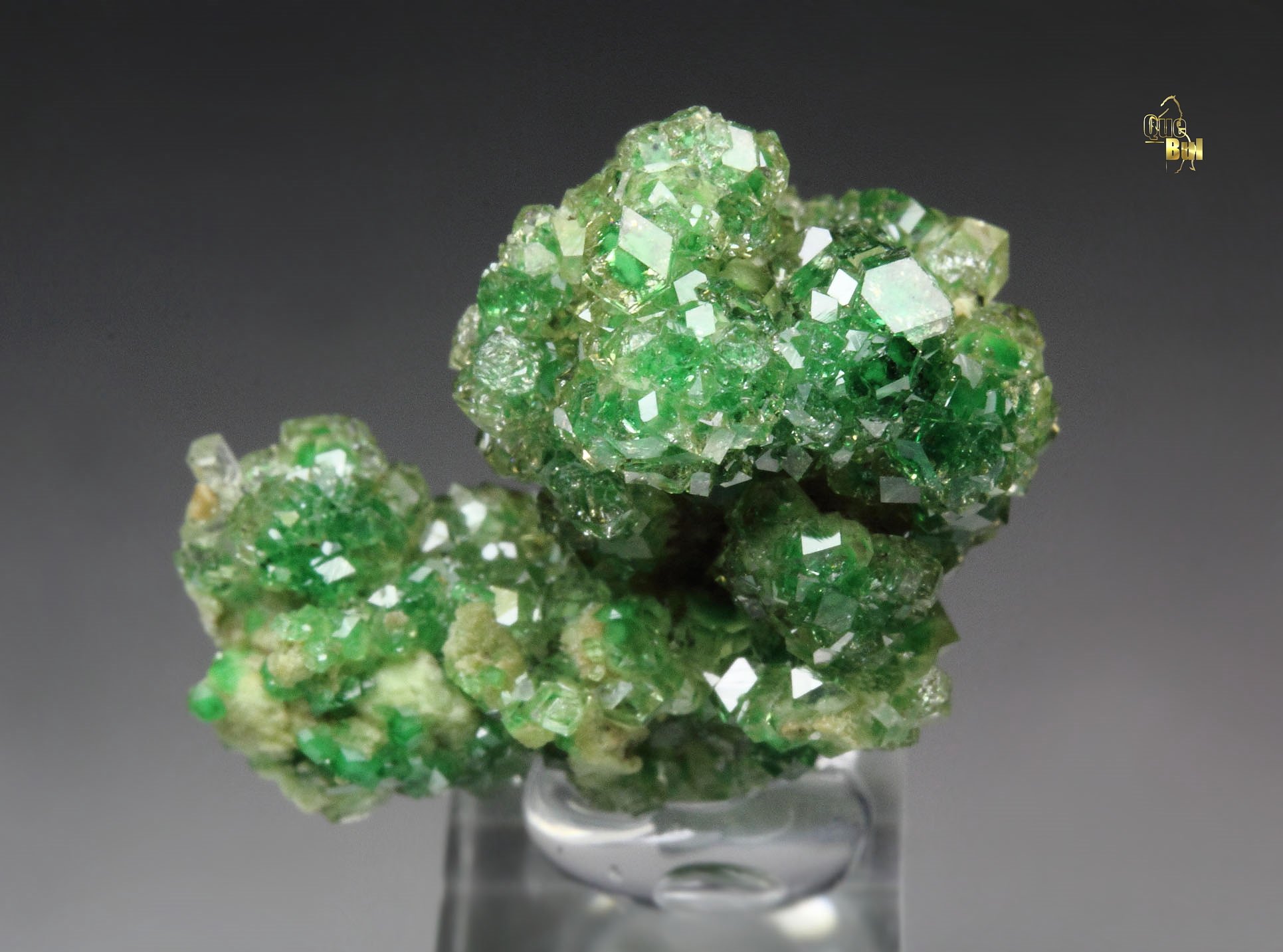 gem GARNET var. GROSSULAR with GREEN CHROMIAN PHANTOMS, DIOPSIDE