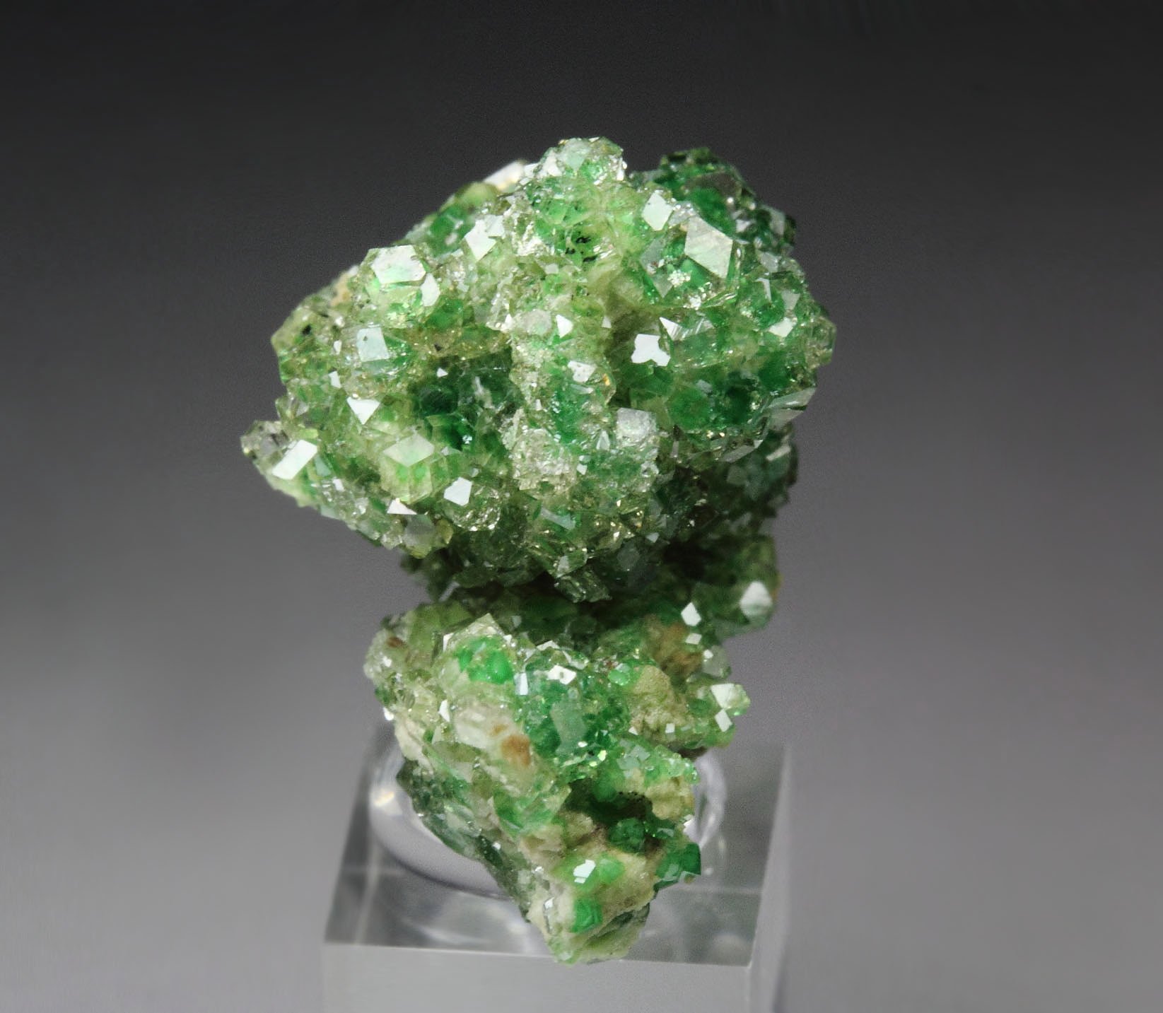 gem GARNET var. GROSSULAR with GREEN CHROMIAN PHANTOMS, DIOPSIDE