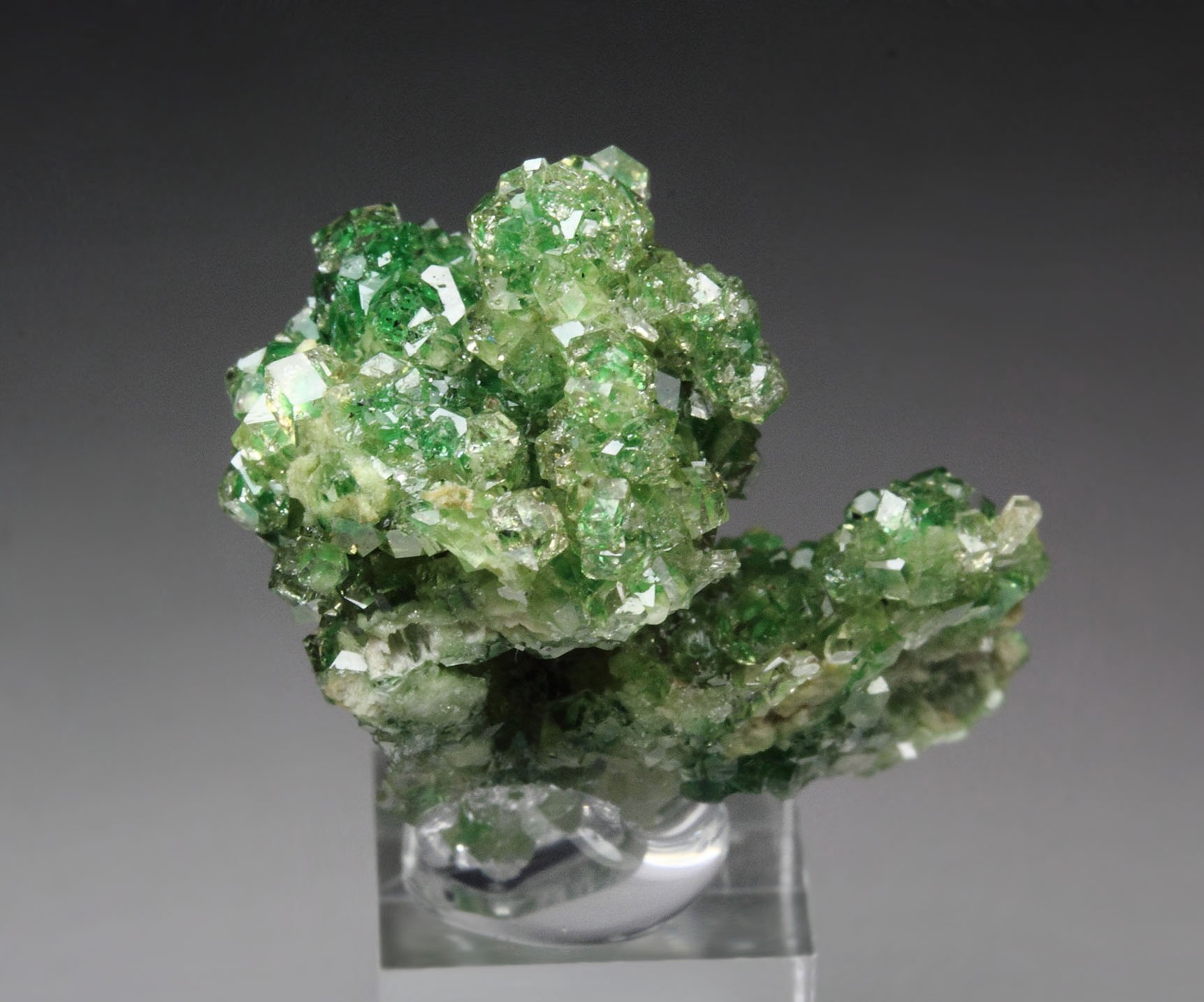 gem GARNET var. GROSSULAR with GREEN CHROMIAN PHANTOMS, DIOPSIDE