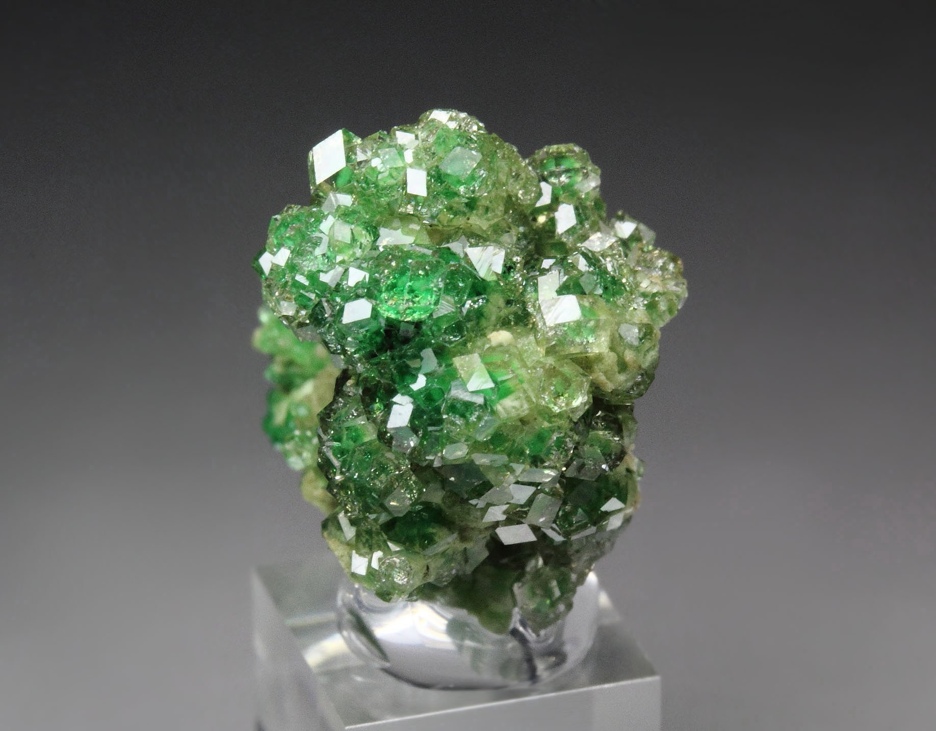 gem GARNET var. GROSSULAR with GREEN CHROMIAN PHANTOMS, DIOPSIDE