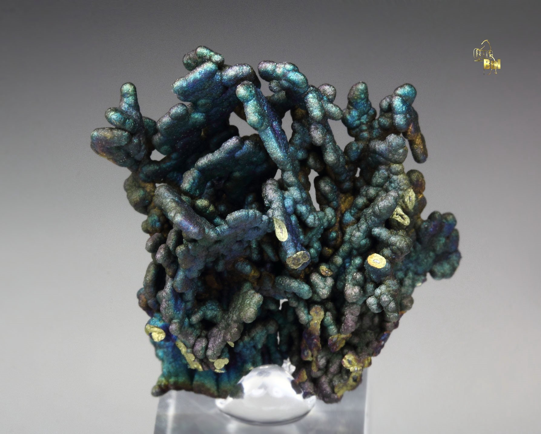 CHALCOCITE, DJURLEITE, iridescent CHALCOPYRITE