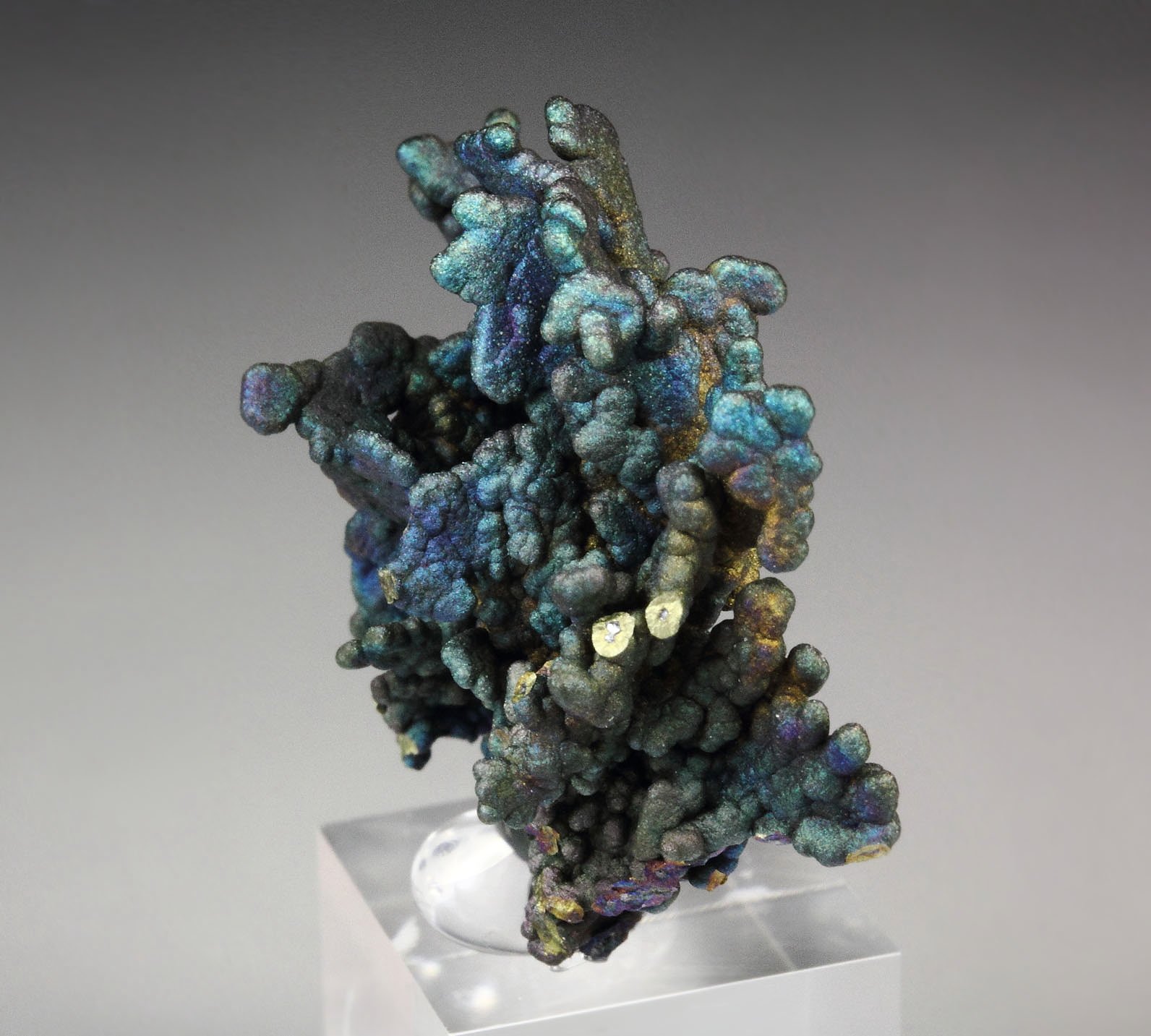 CHALCOCITE, DJURLEITE, iridescent CHALCOPYRITE