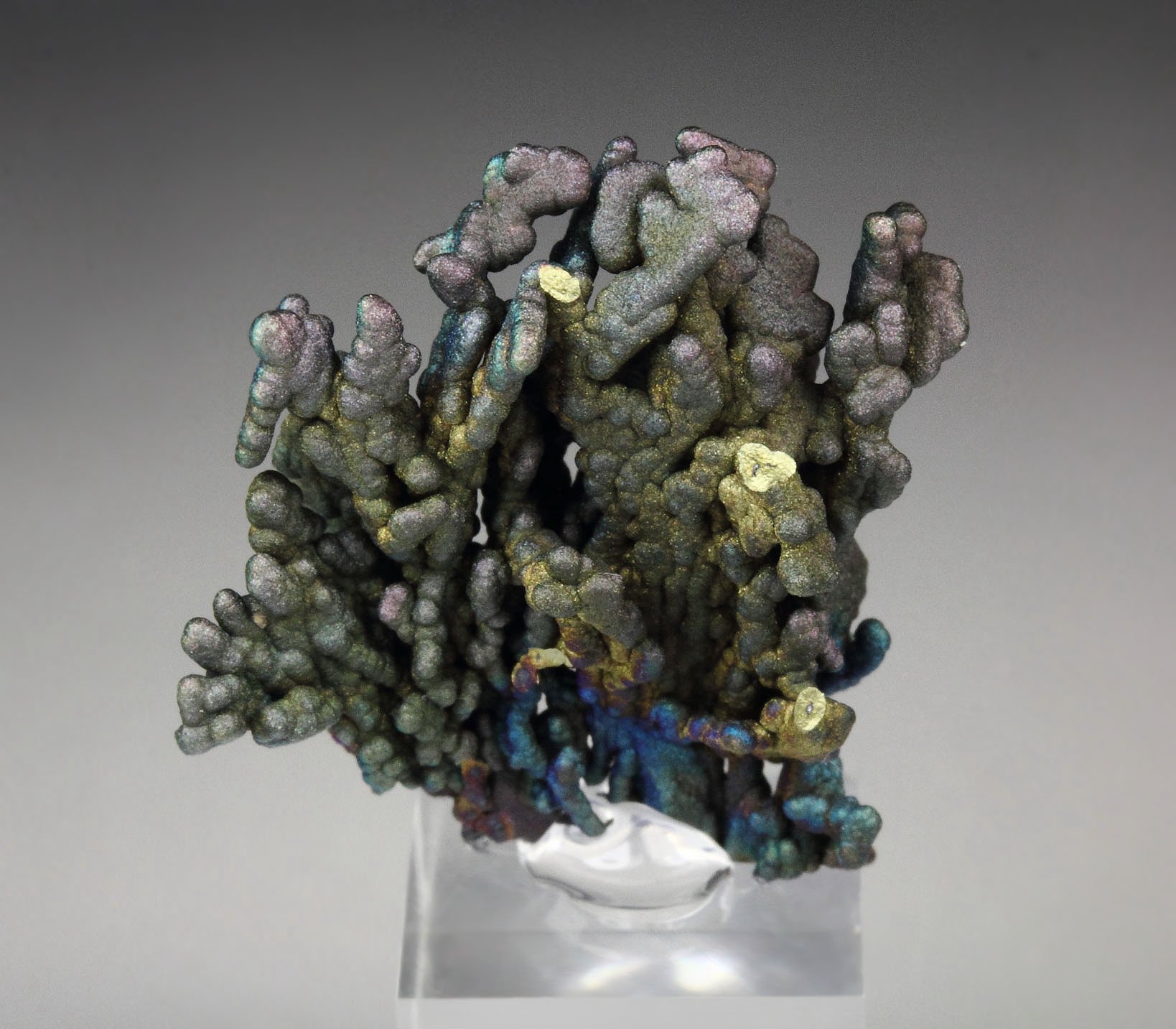 CHALCOCITE, DJURLEITE, iridescent CHALCOPYRITE