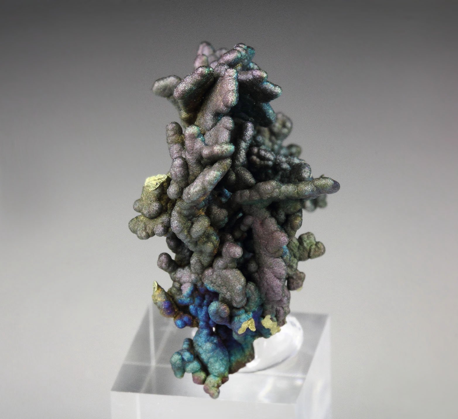 CHALCOCITE, DJURLEITE, iridescent CHALCOPYRITE