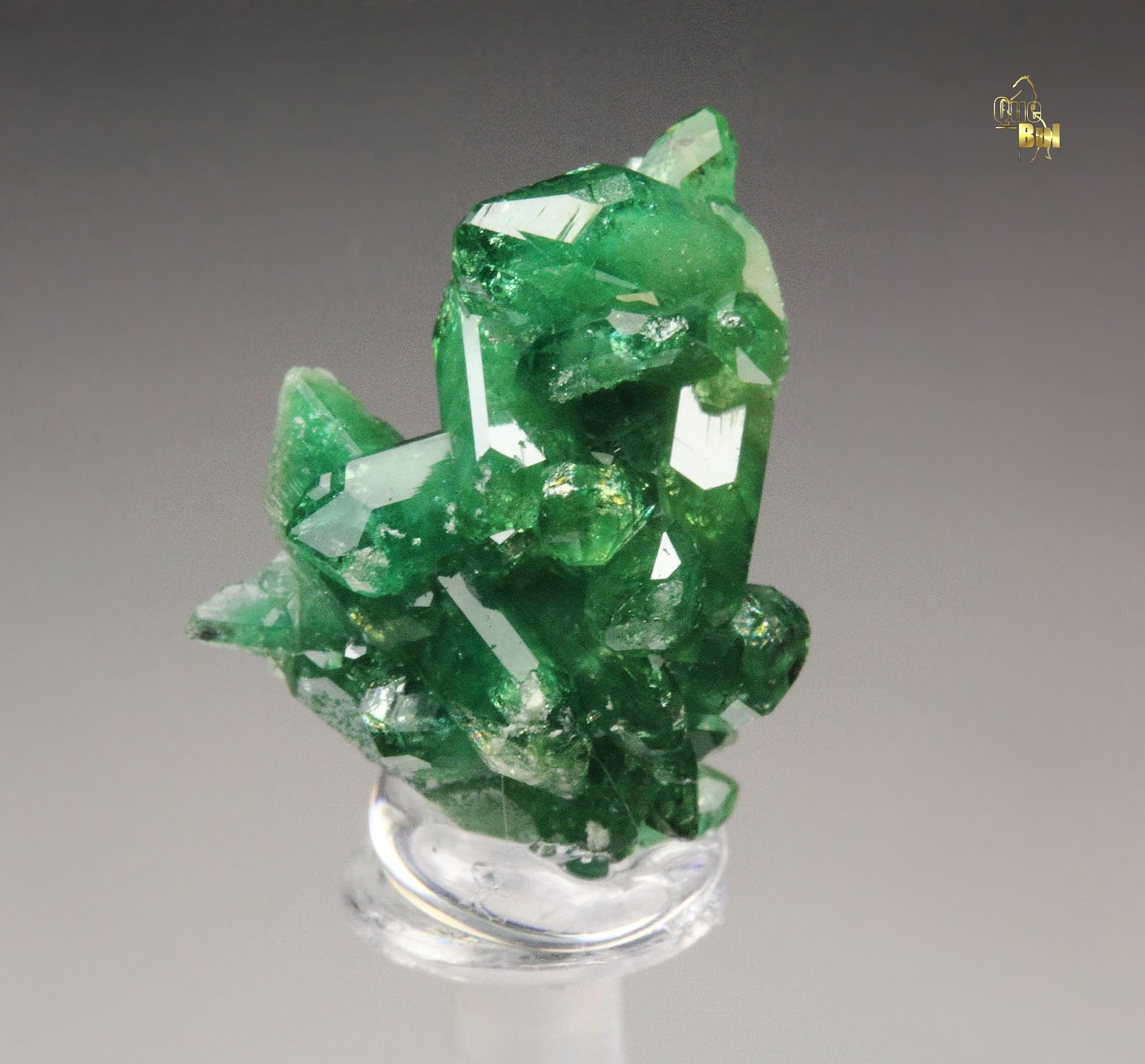 gemmy VESUVIANITE var. CHROMIAN