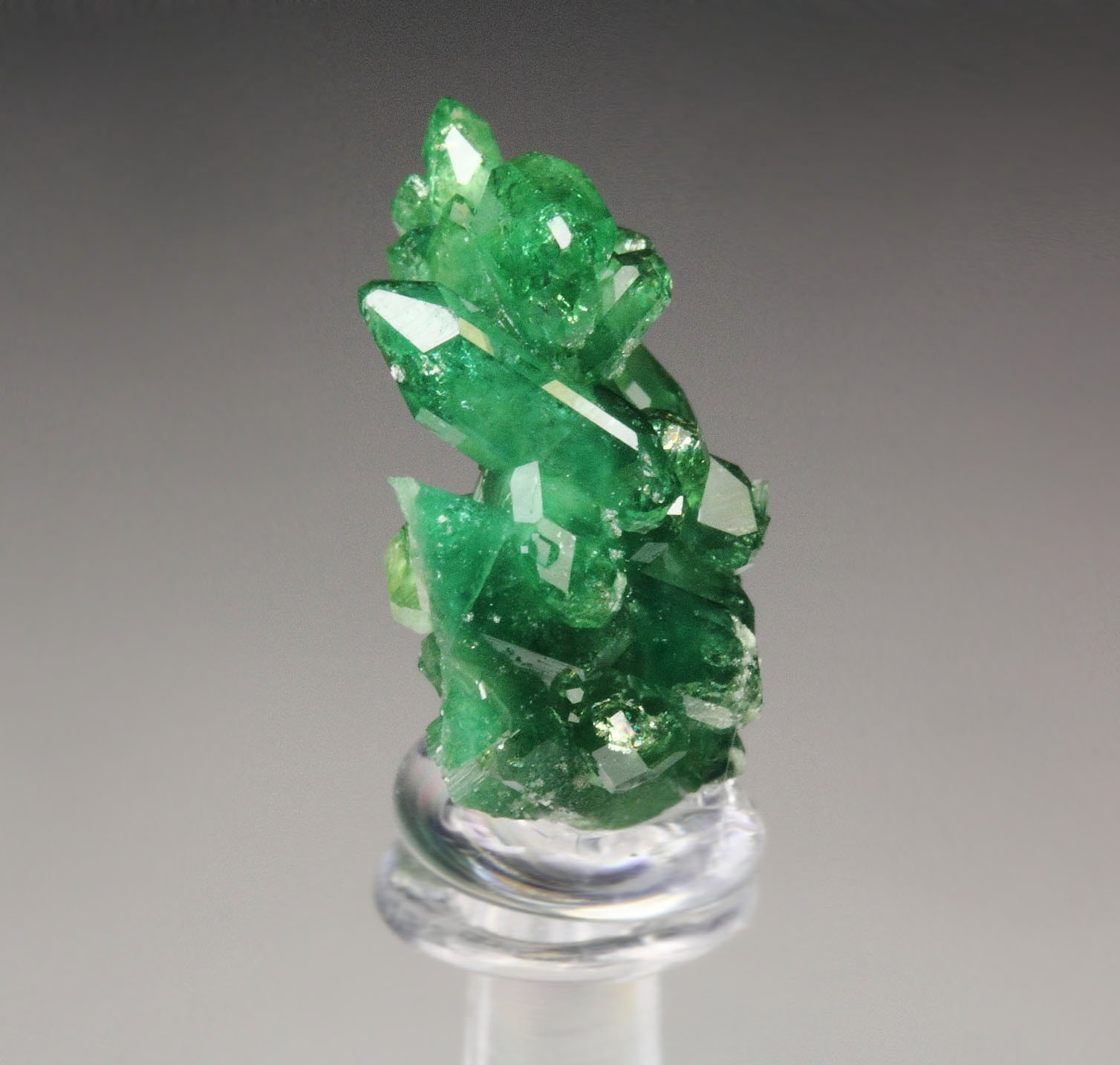 gemmy VESUVIANITE var. CHROMIAN