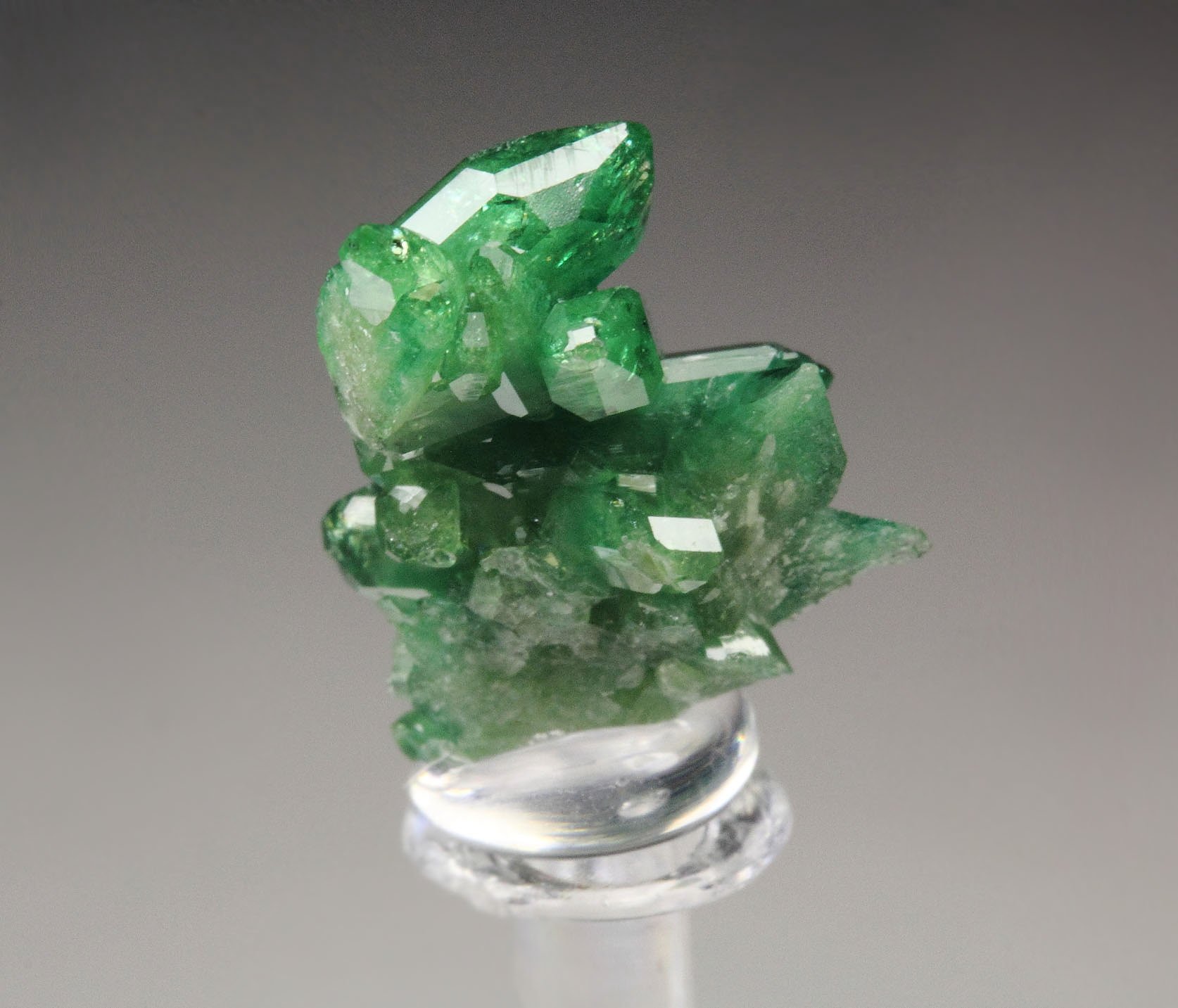 gemmy VESUVIANITE var. CHROMIAN