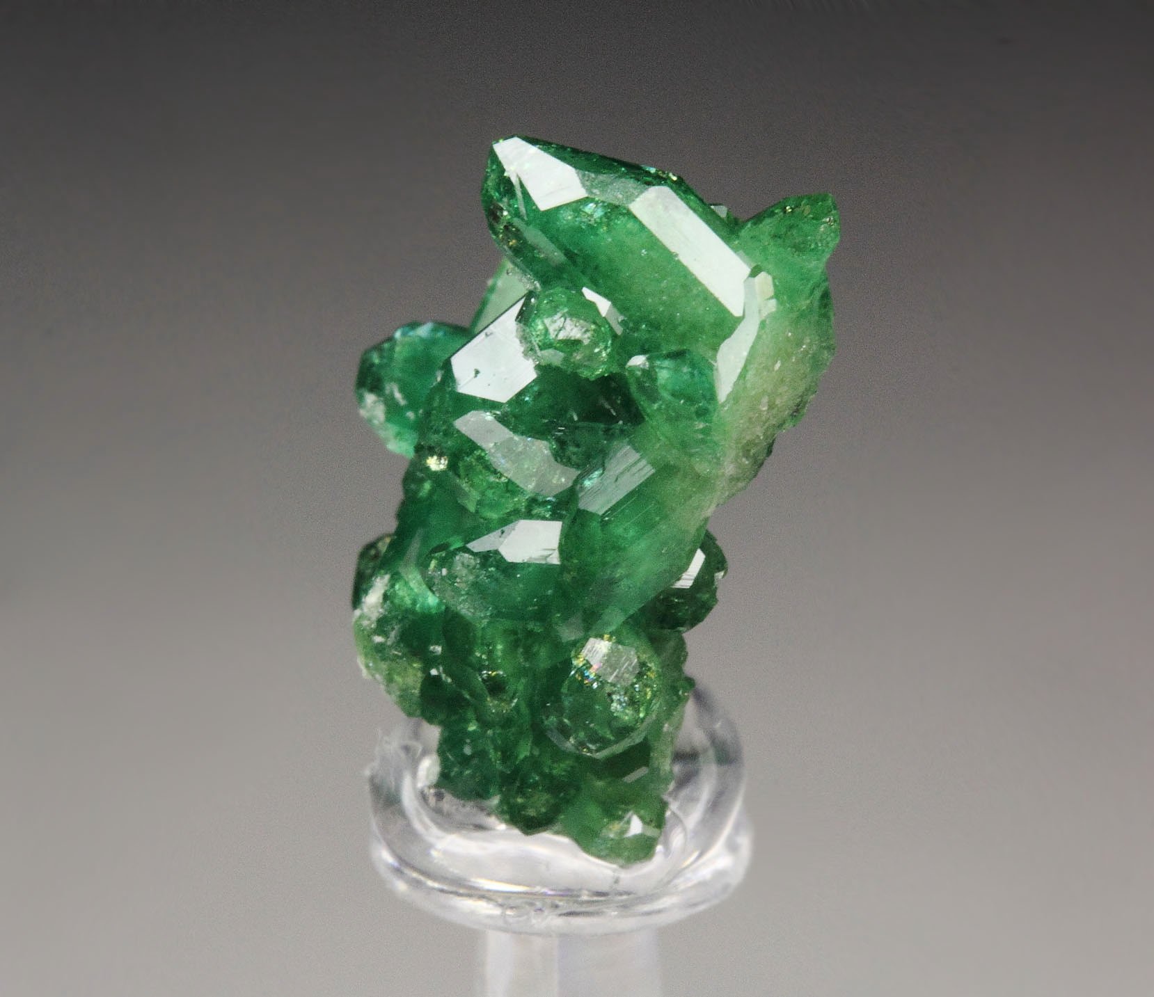 gemmy VESUVIANITE var. CHROMIAN