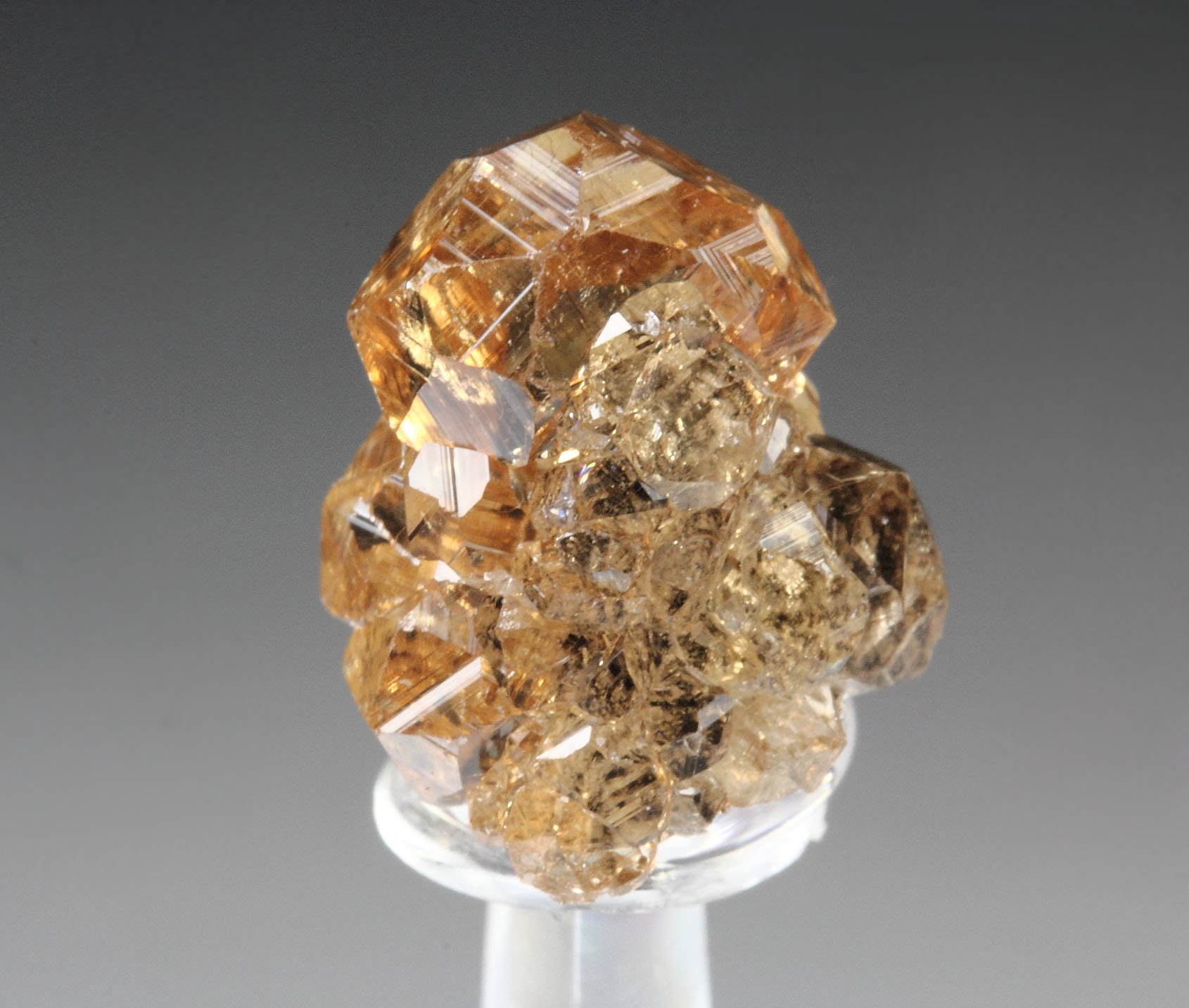 gem GARNET var. GROSSULAR