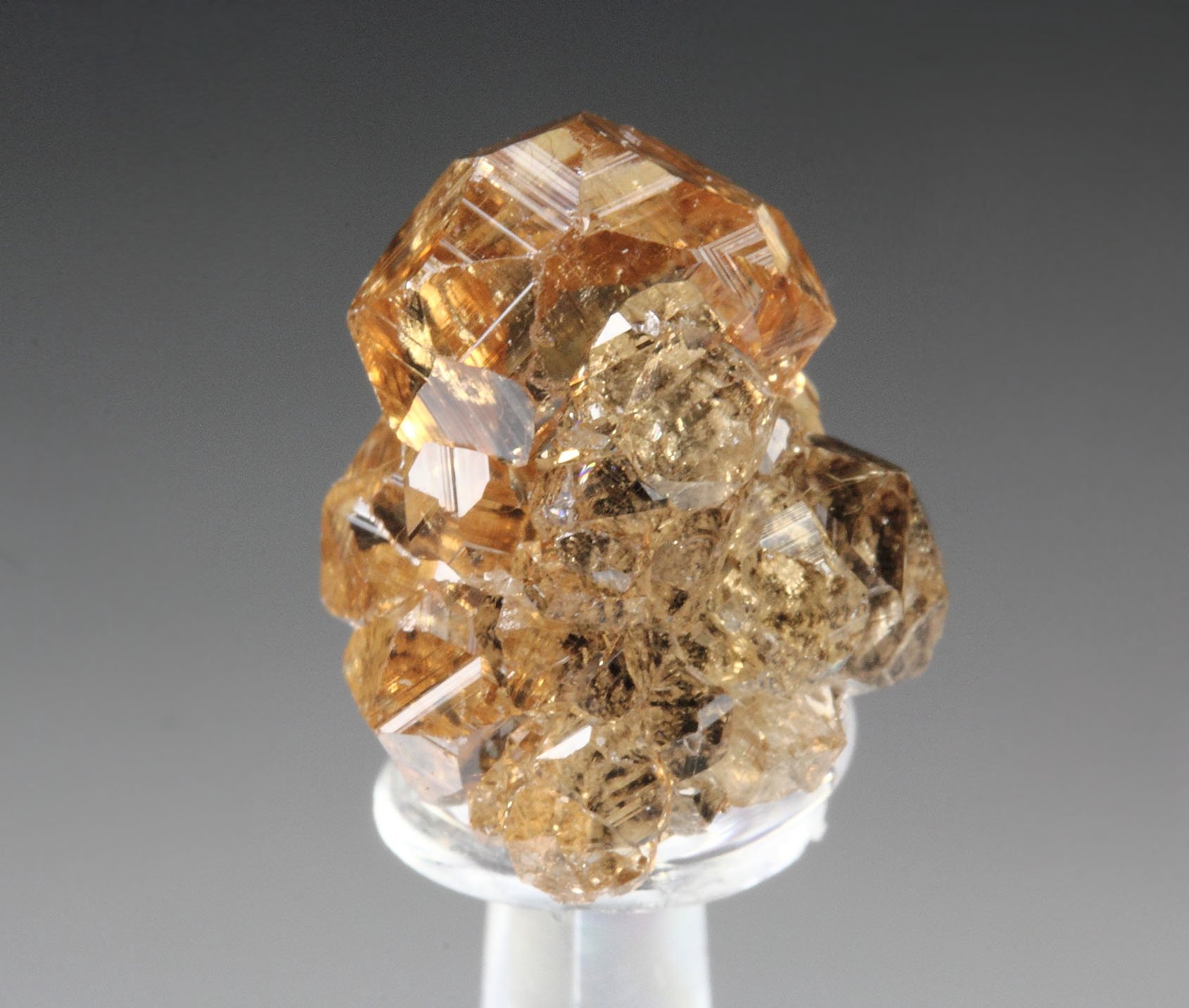 gem GARNET var. GROSSULAR