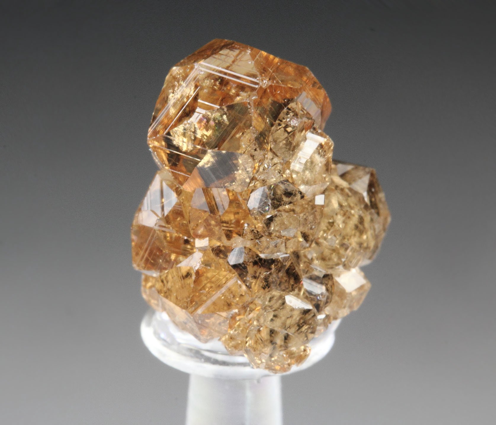 gem GARNET var. GROSSULAR