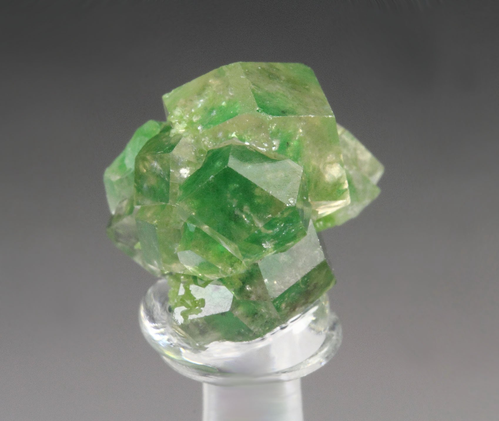 gem GARNET var. GROSSULAR with GREEN CHROMIAN PHANTOMS