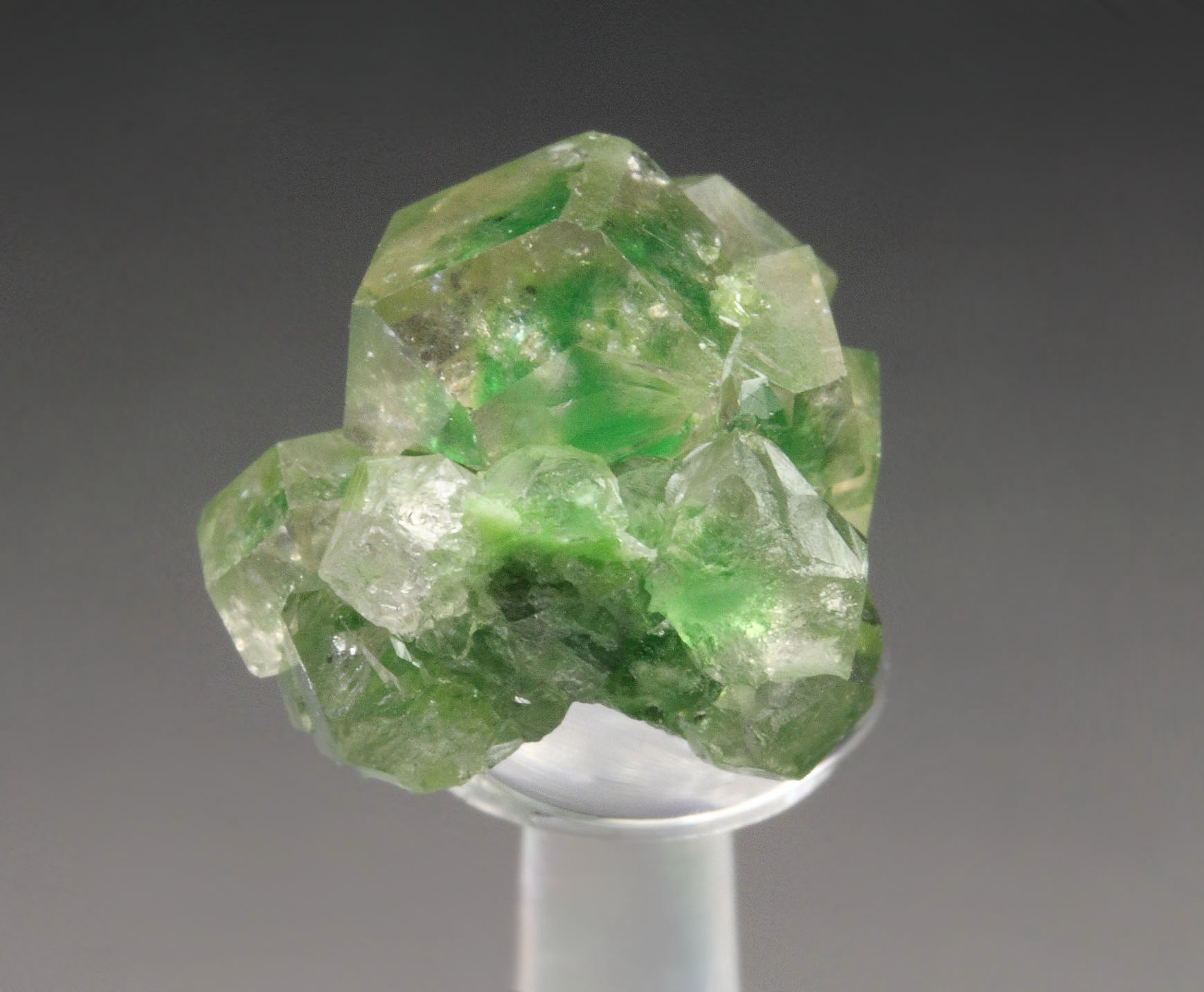 gem GARNET var. GROSSULAR with GREEN CHROMIAN PHANTOMS