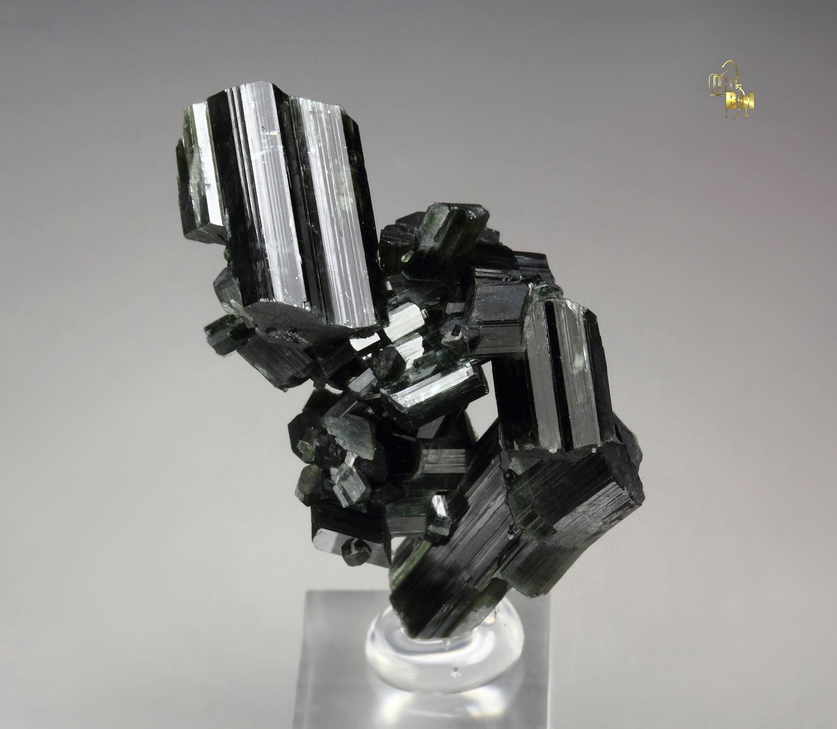 ACTINOLITE