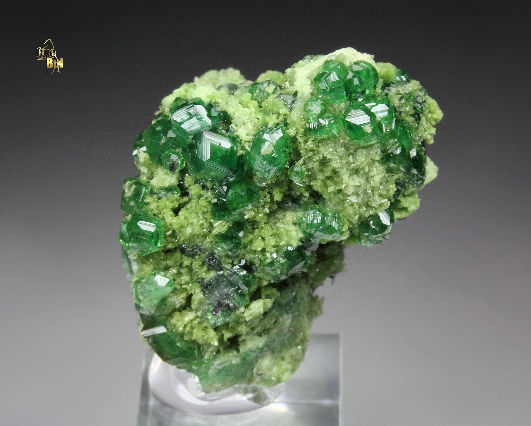 gem GARNET var. GROSSULAR var. CHROMIAN, CHROMITE, DIOPSIDE