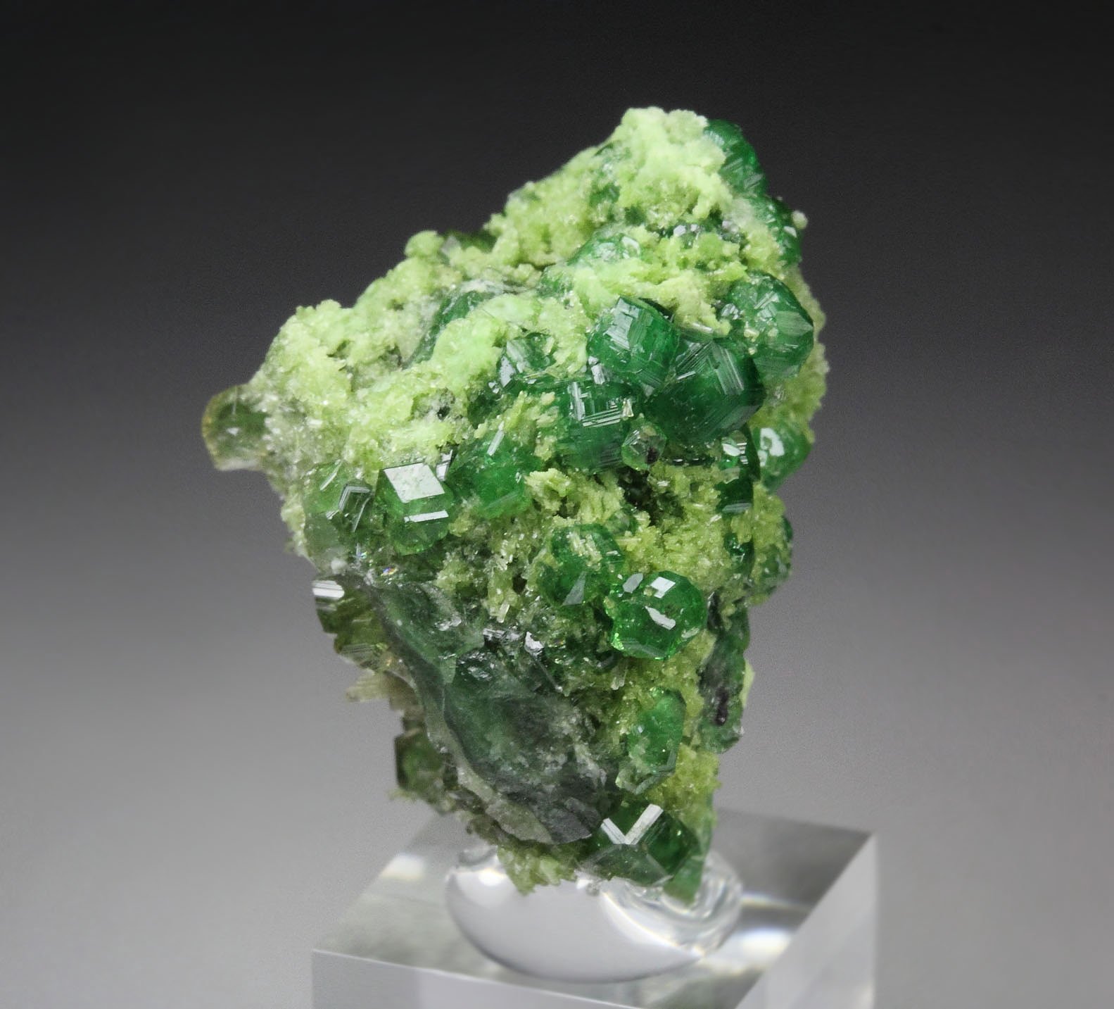 gem GARNET var. GROSSULAR var. CHROMIAN, CHROMITE, DIOPSIDE