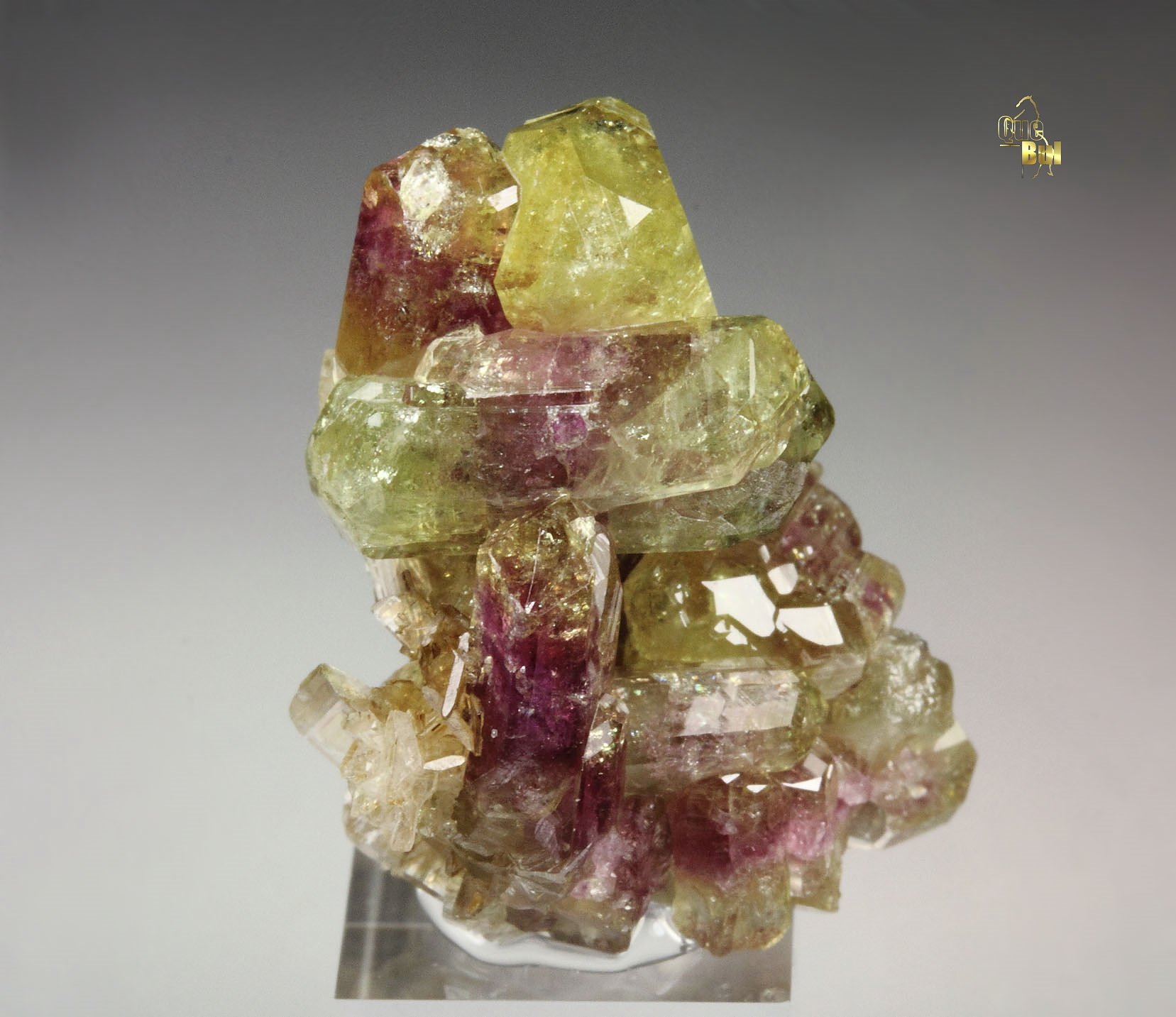 gem bi-terminated VESUVIANITE bi-color, DIOPSIDE