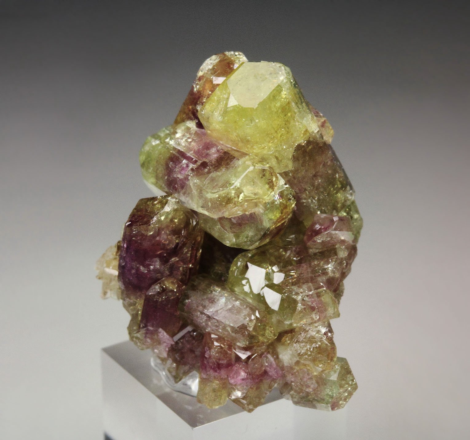 gem bi-terminated VESUVIANITE bi-color, DIOPSIDE