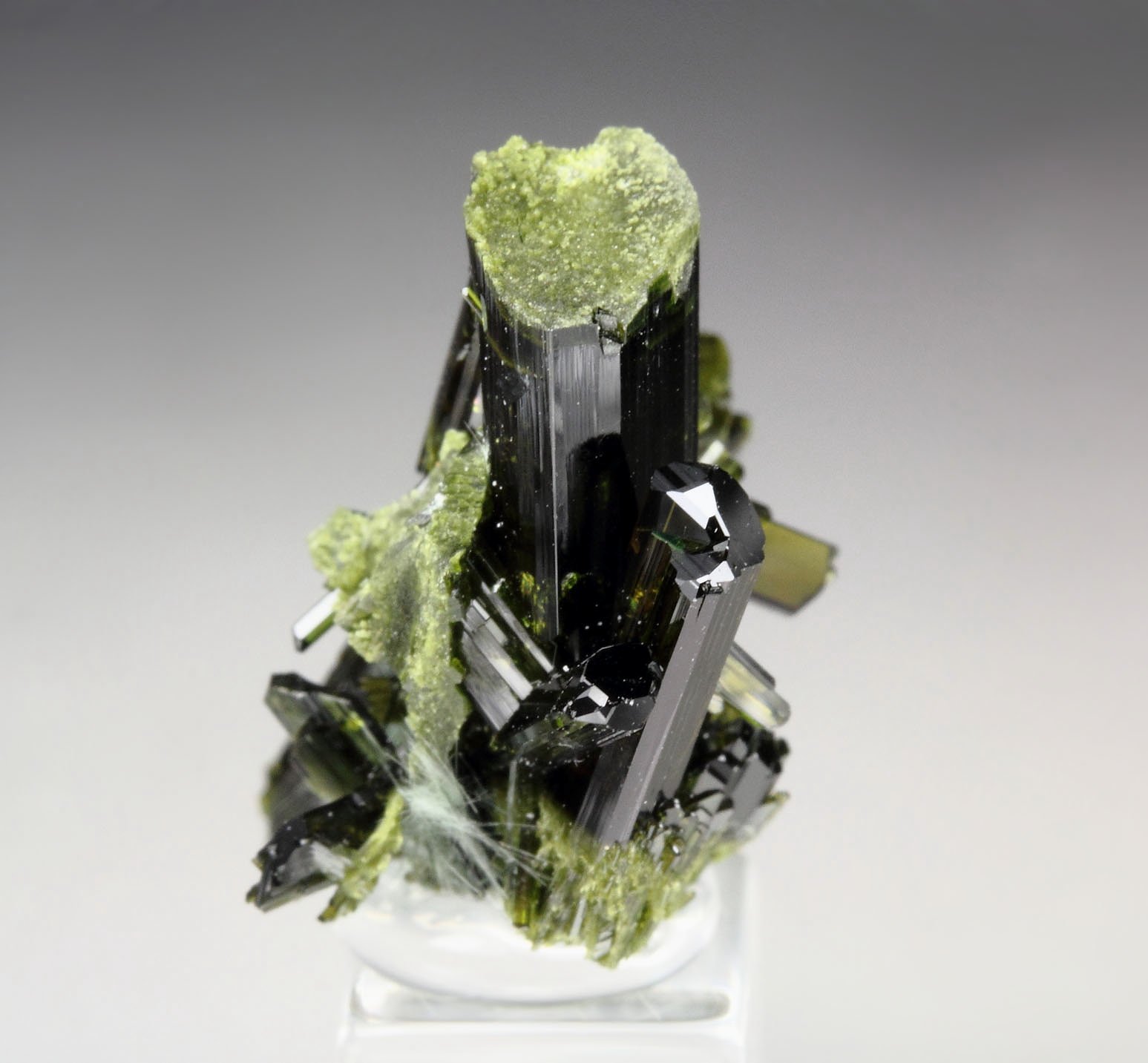 EPIDOTE, AMPHIBOLE GROUP var. BYSSOLITE