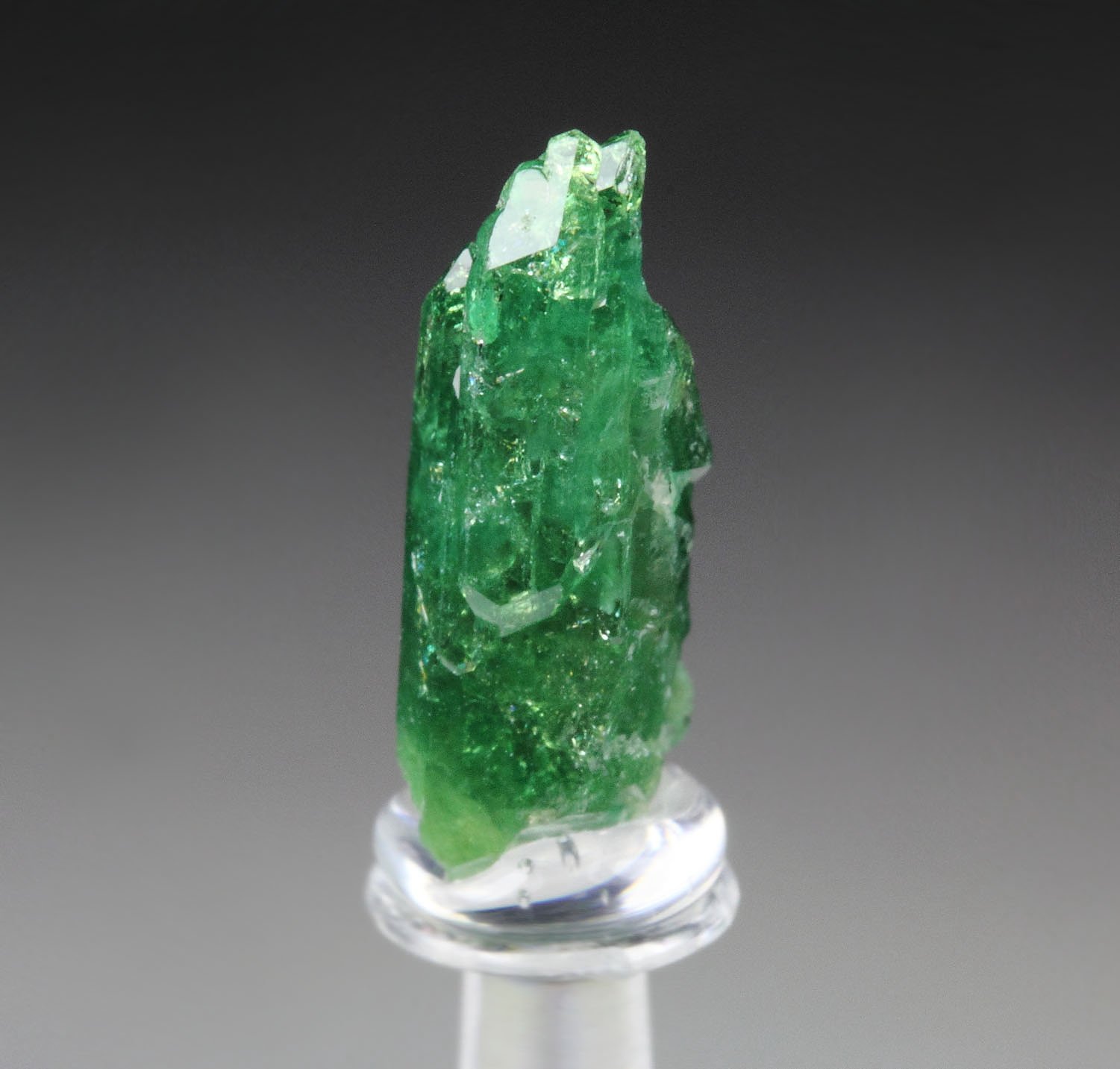 gemmy VESUVIANITE var. CHROMIAN