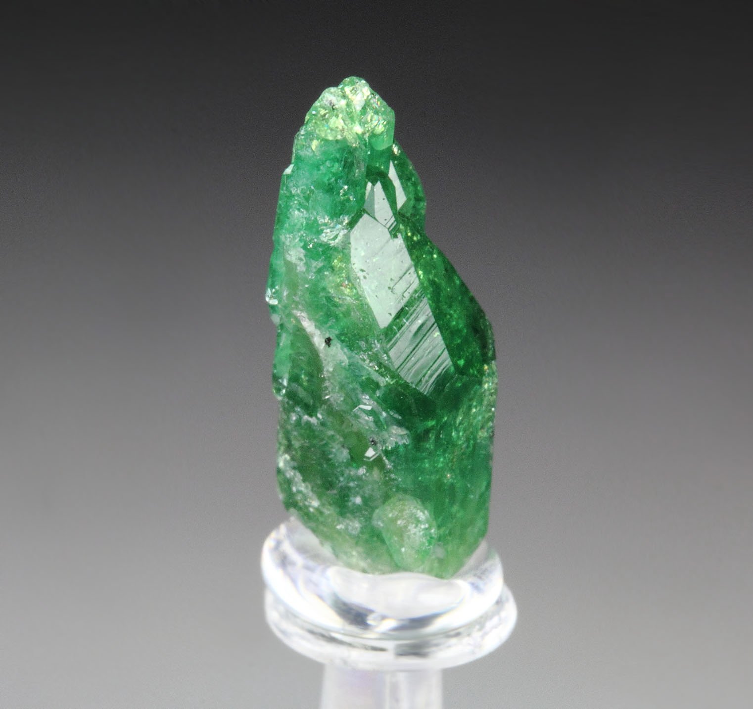 gemmy VESUVIANITE var. CHROMIAN