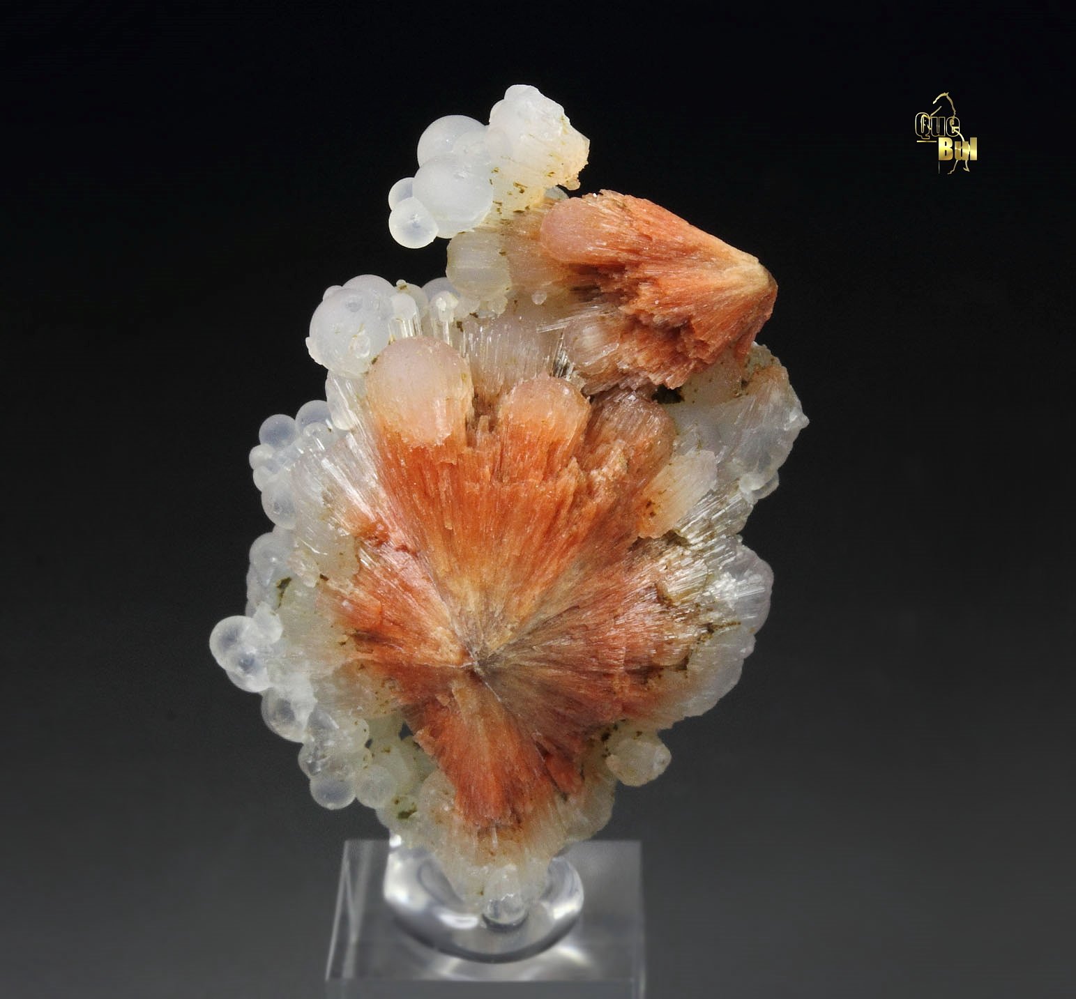 orange SCOLECITE, CHALCEDONY