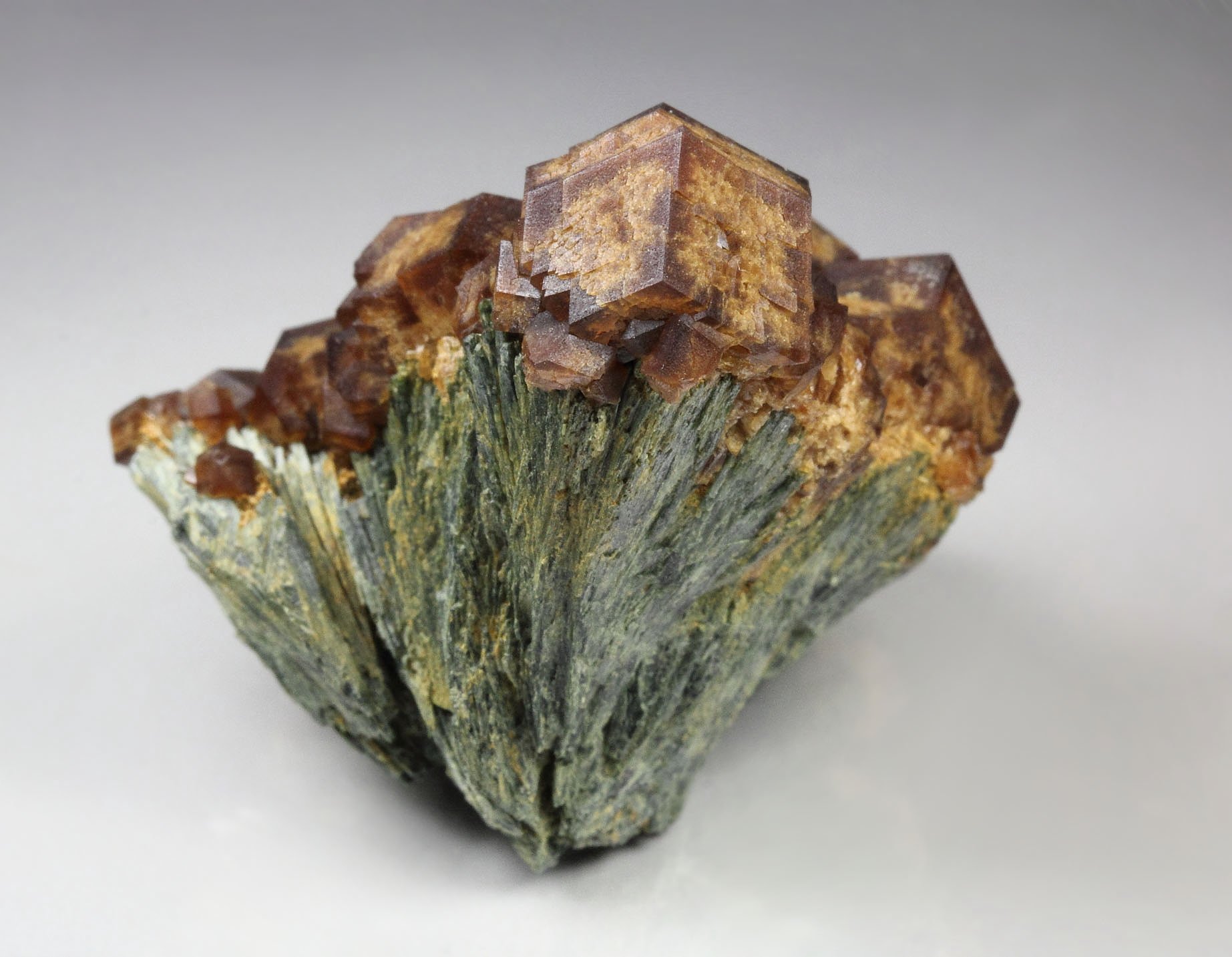 GARNET var. ANDRADITE, HEDENBERGITE, QUARTZ