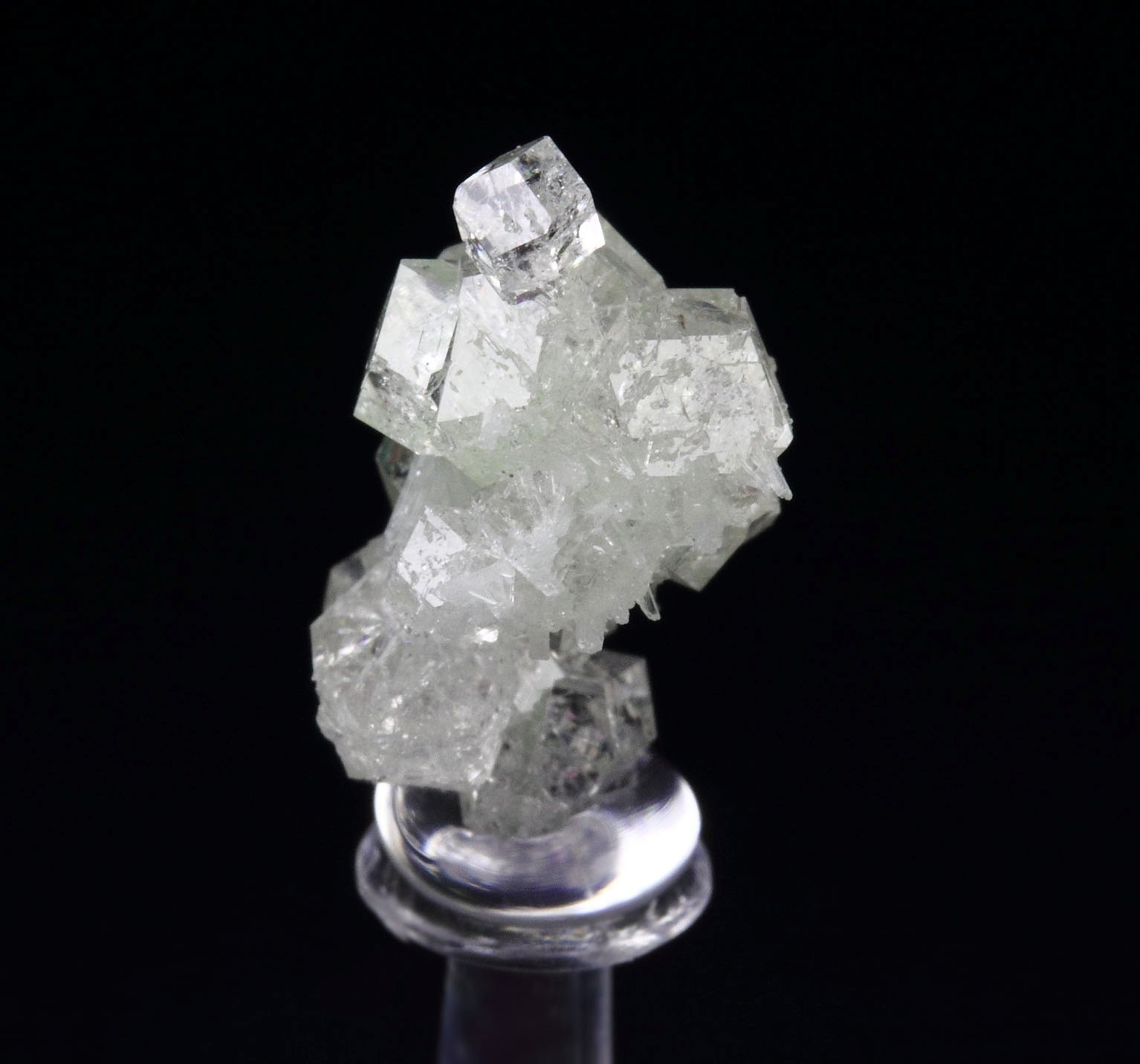 colorless gem GARNET var. GROSSULAR, DIOPSIDE