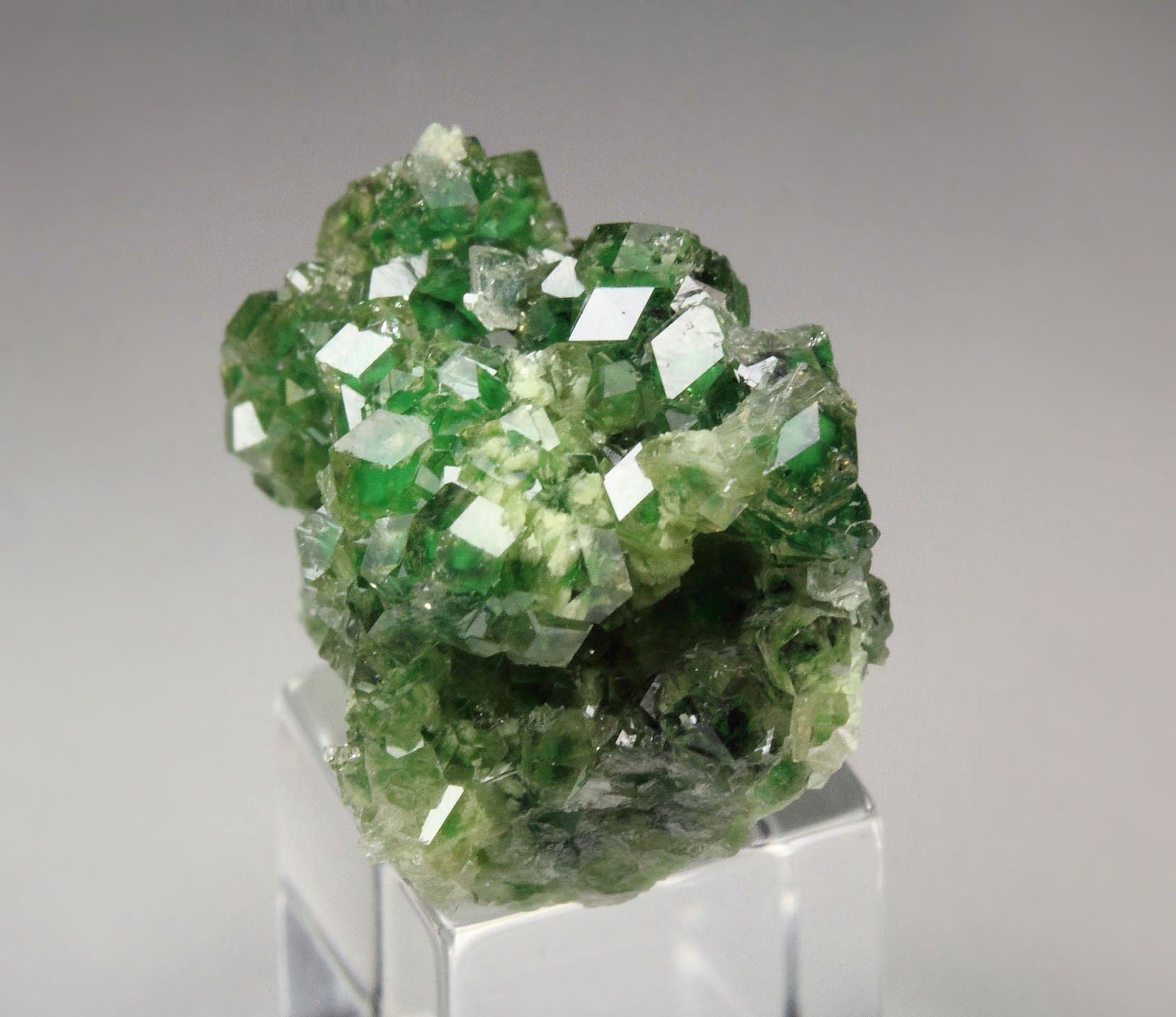 gem GARNET var. GROSSULAR with GREEN CHROMIAN PHANTOMS