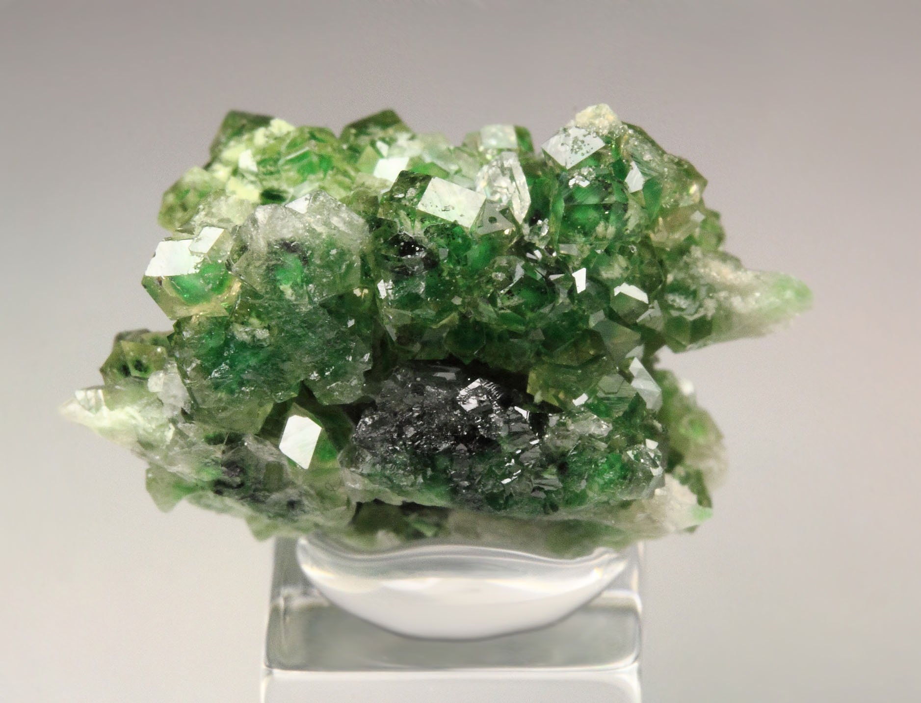 gem GARNET var. GROSSULAR with GREEN CHROMIAN PHANTOMS