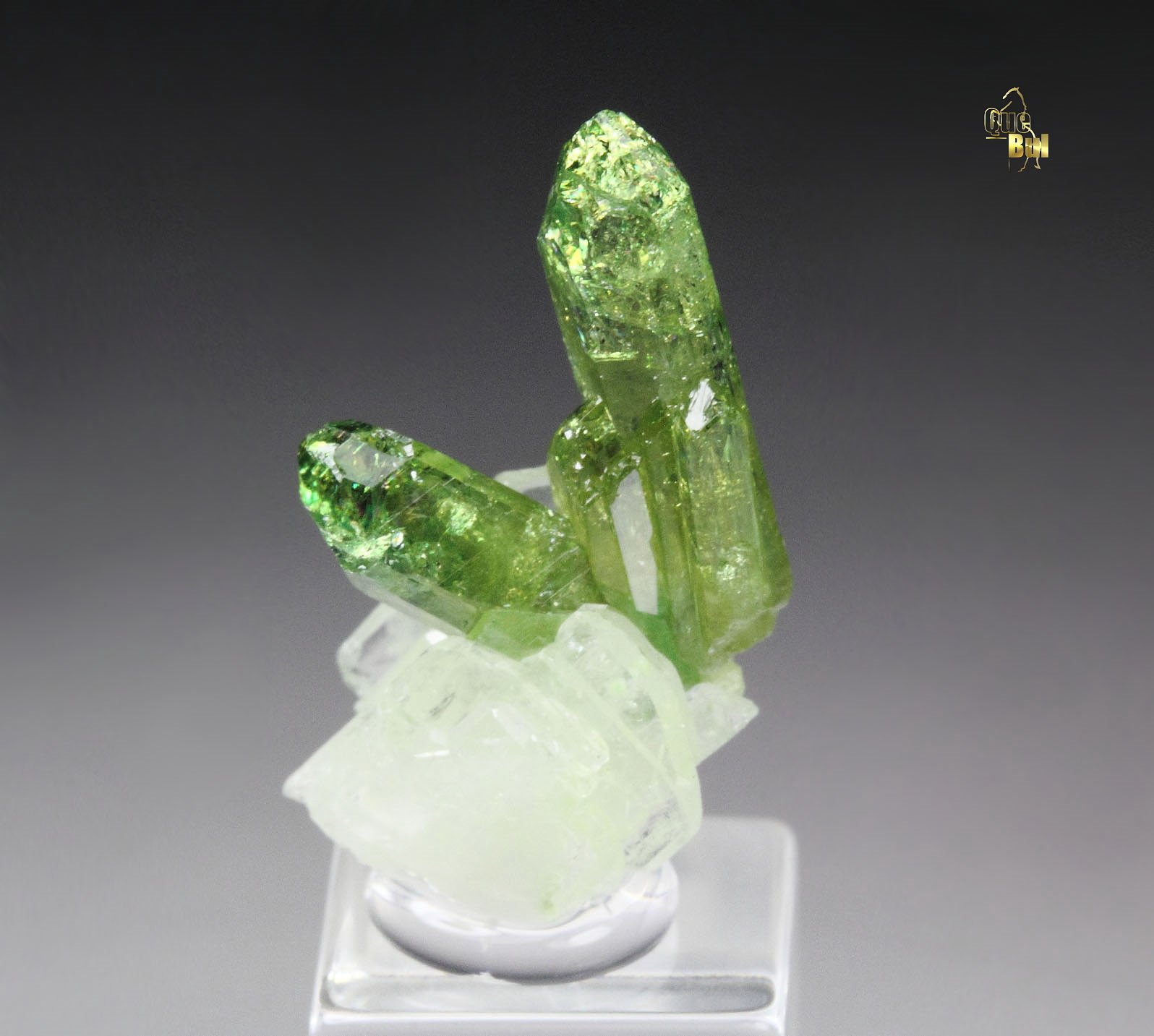 gem VESUVIANITE, DIOPSIDE