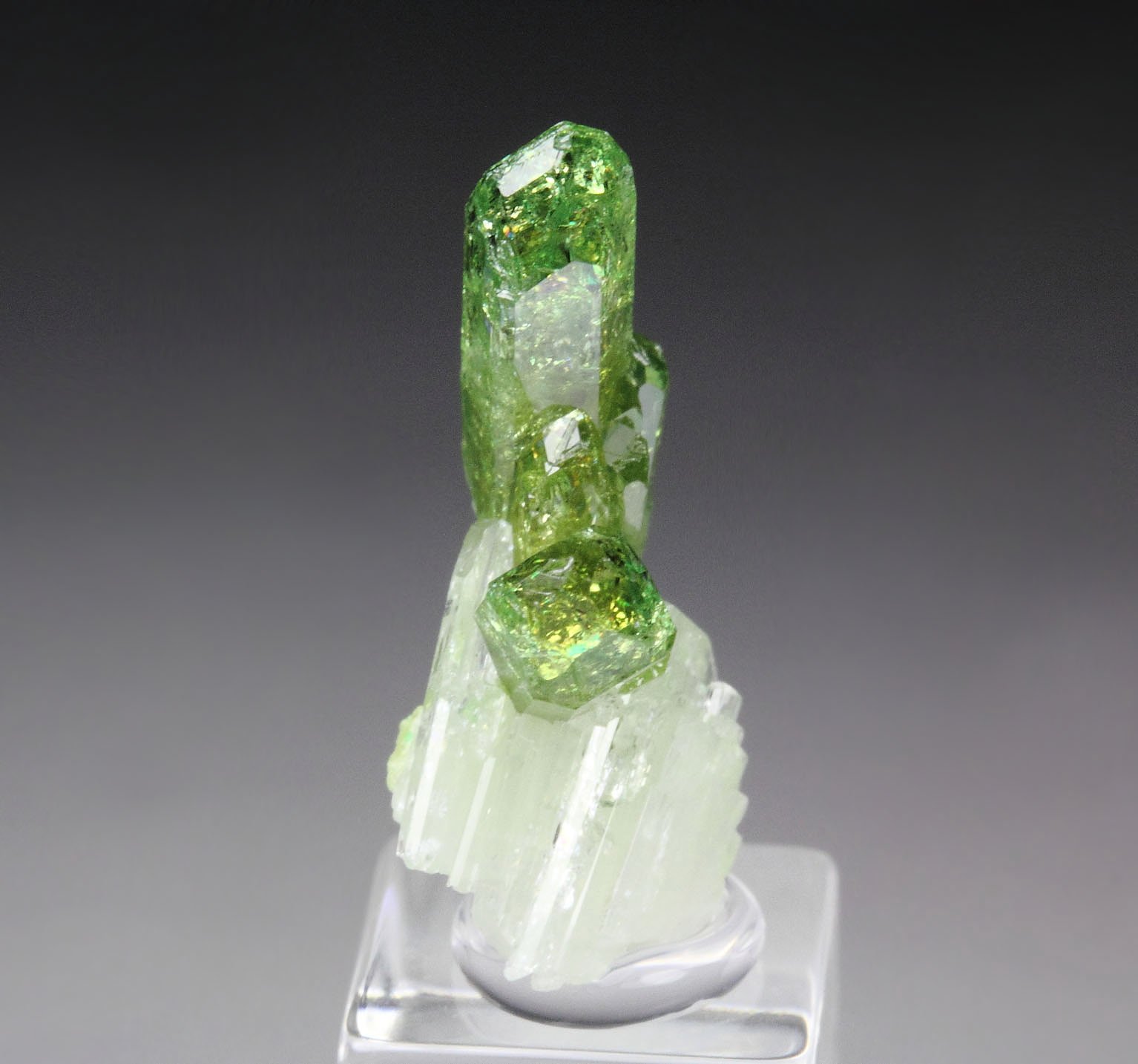 gem VESUVIANITE, DIOPSIDE