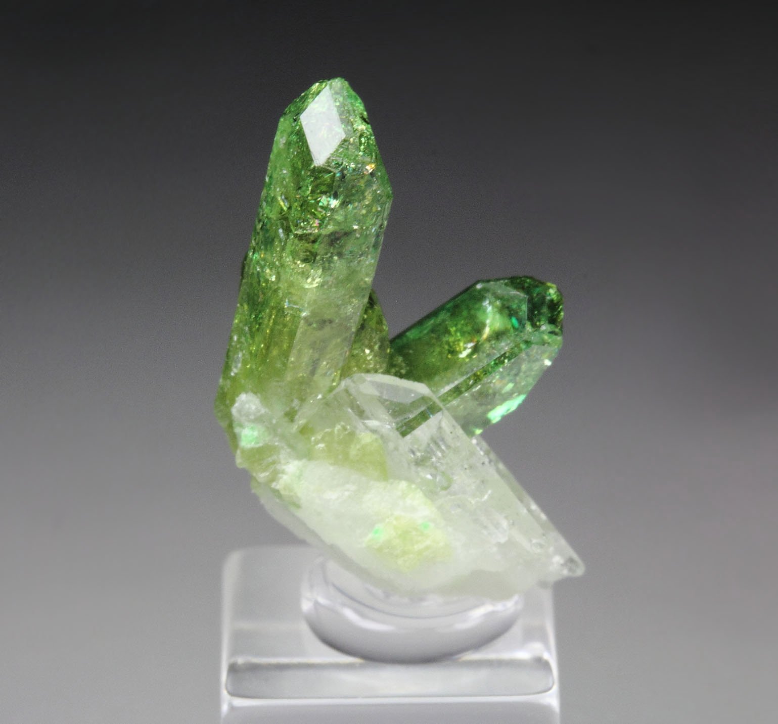 gem VESUVIANITE, DIOPSIDE