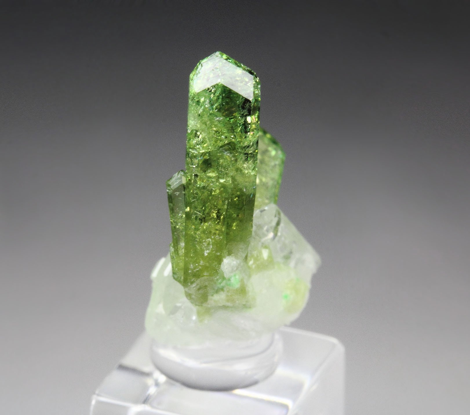 gem VESUVIANITE, DIOPSIDE