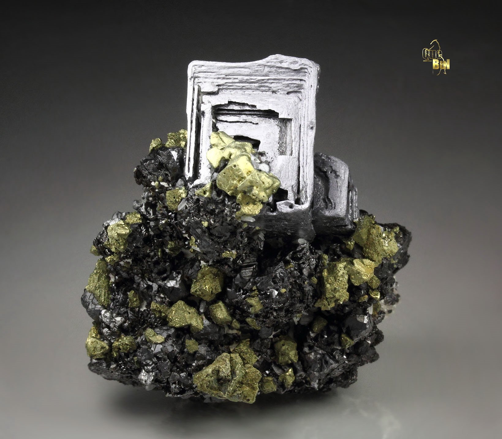 skeletal GALENA, CHALCOPYRITE, SPHALERITE, QUARTZ