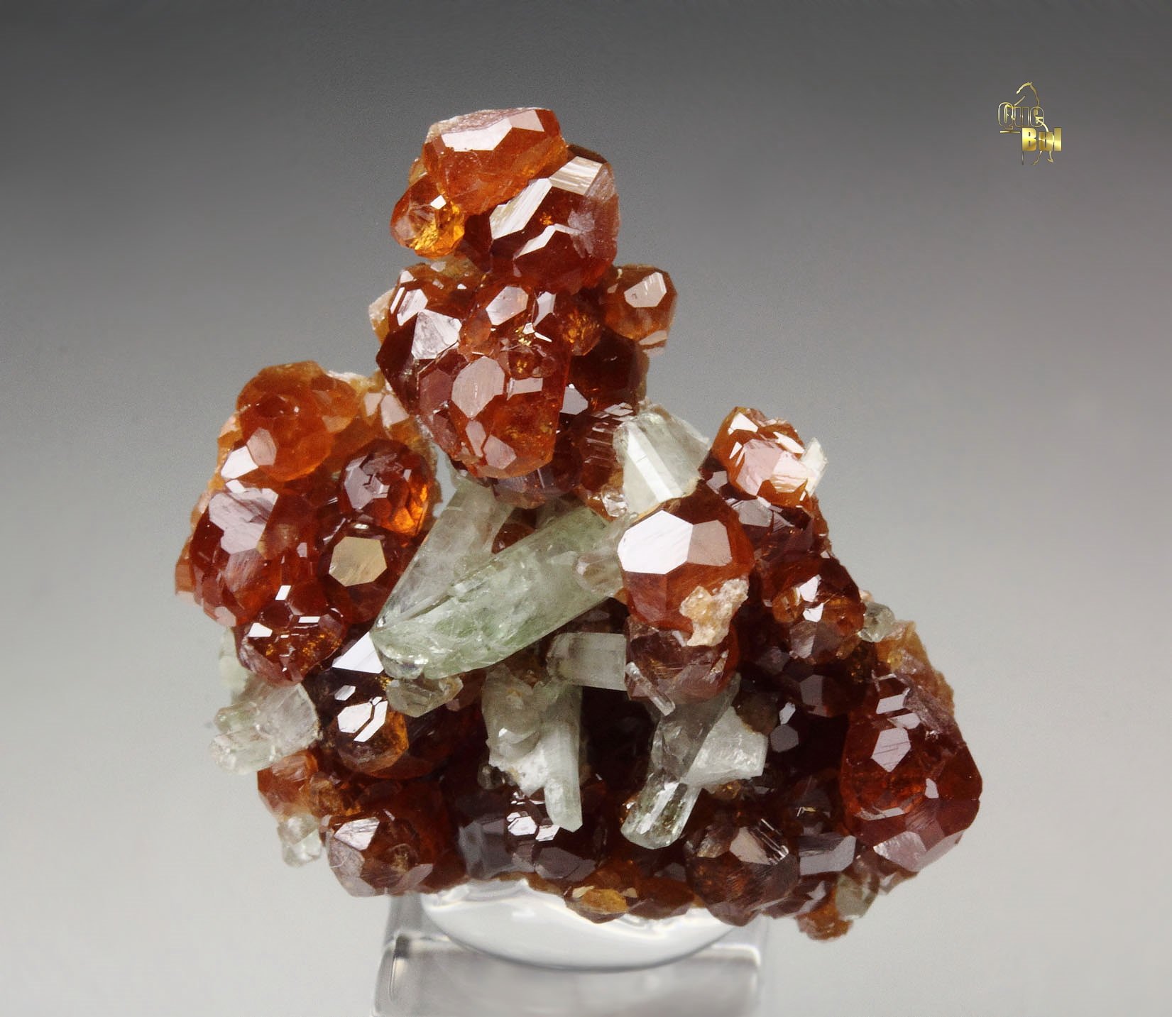 gem GARNET var. HESSONITE, DIOPSIDE