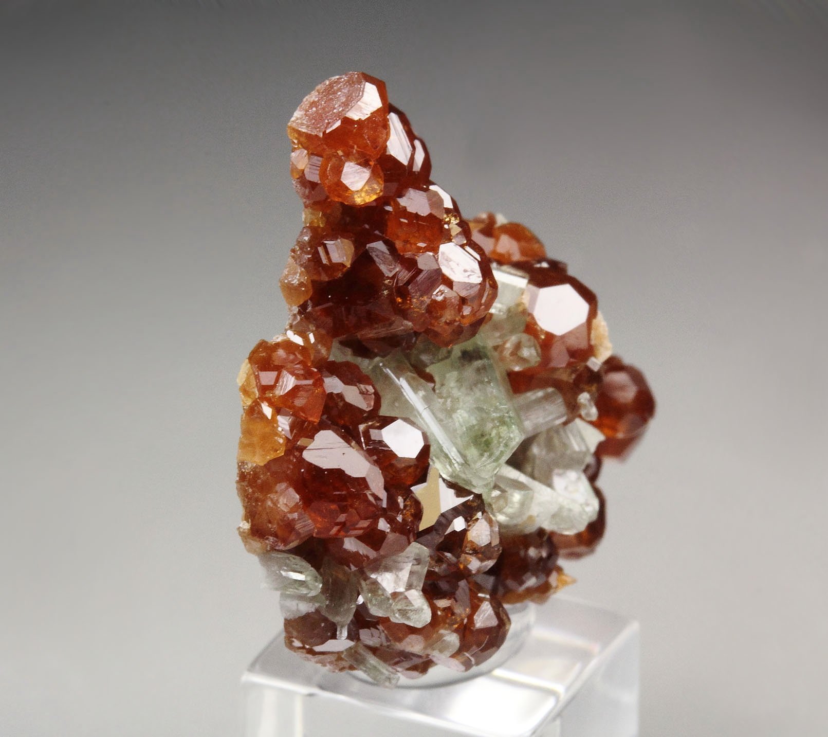 gem GARNET var. HESSONITE, DIOPSIDE