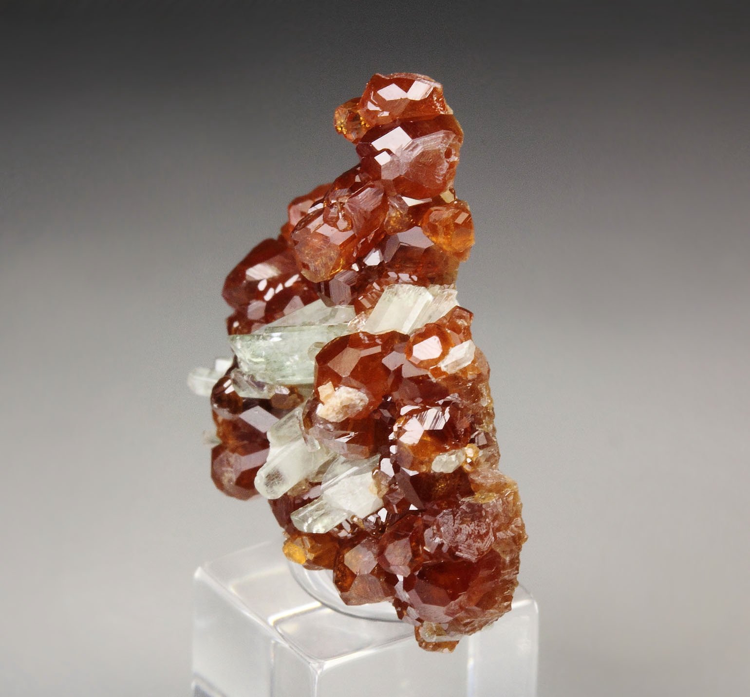 gem GARNET var. HESSONITE, DIOPSIDE