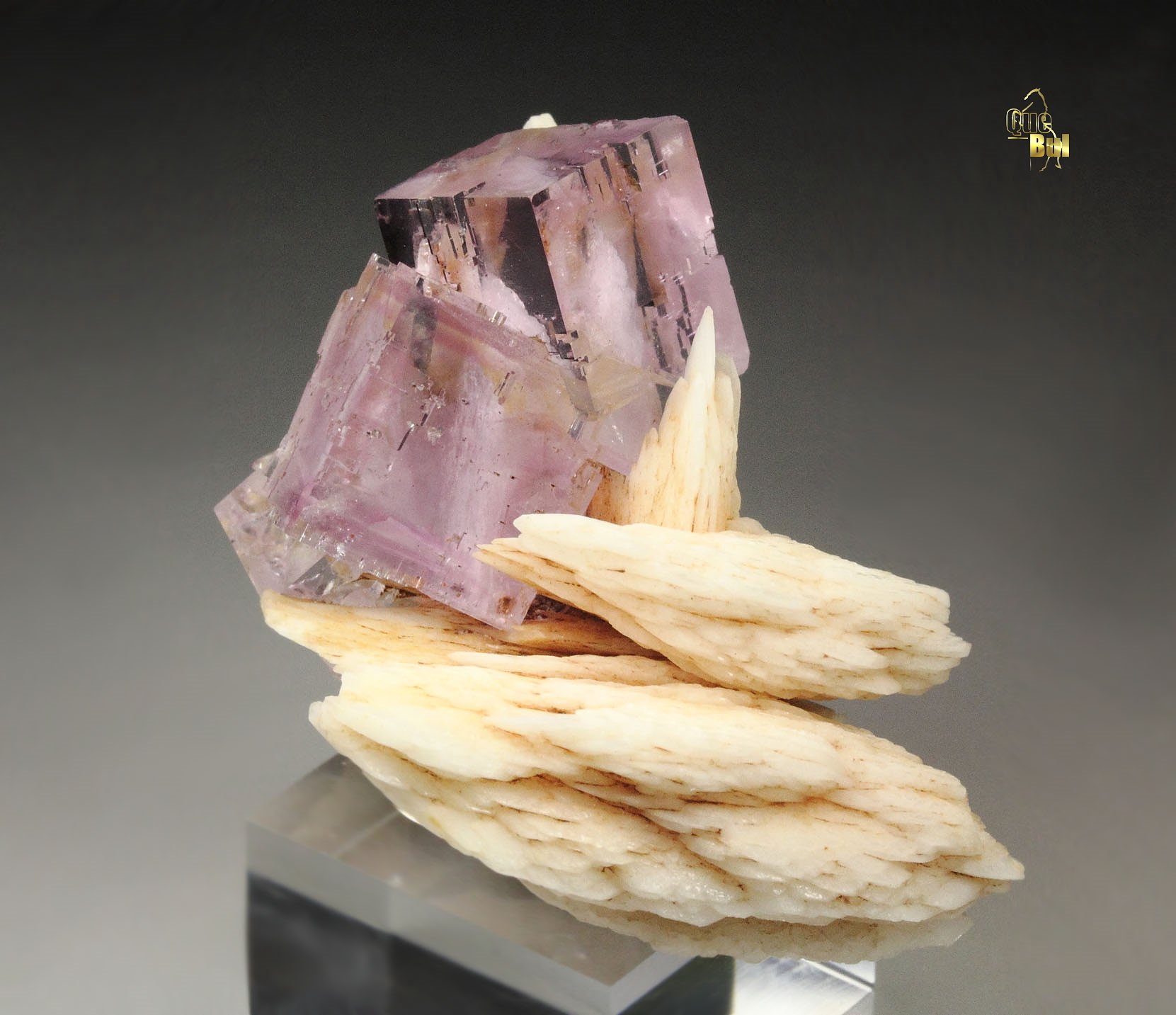 FLUORITE with PHANTOMS, BARYTE