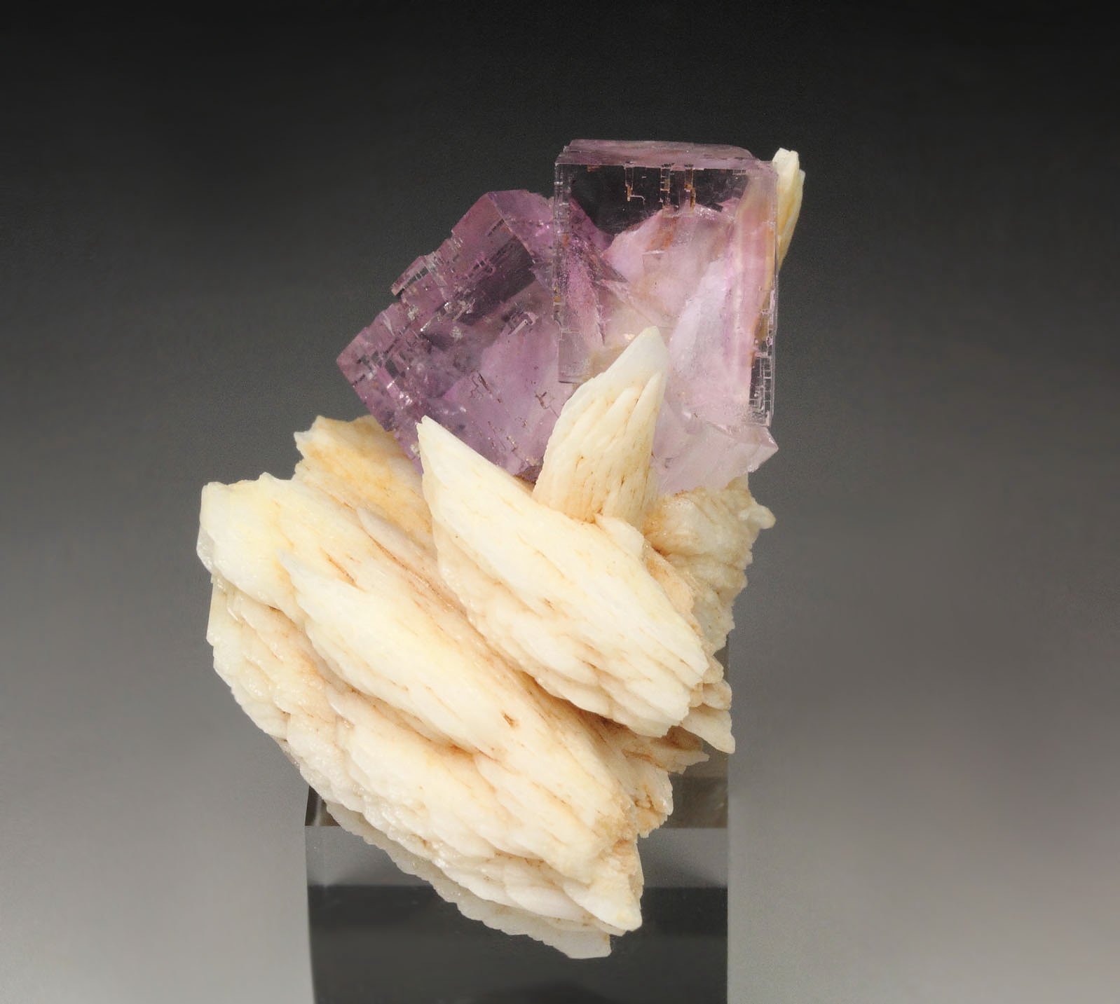 FLUORITE with PHANTOMS, BARYTE