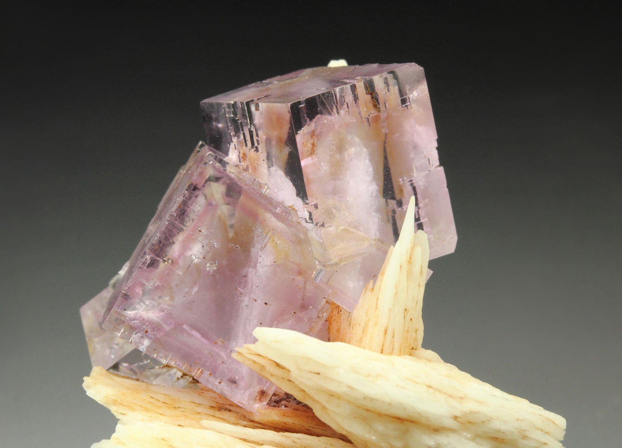 FLUORITE with PHANTOMS, BARYTE