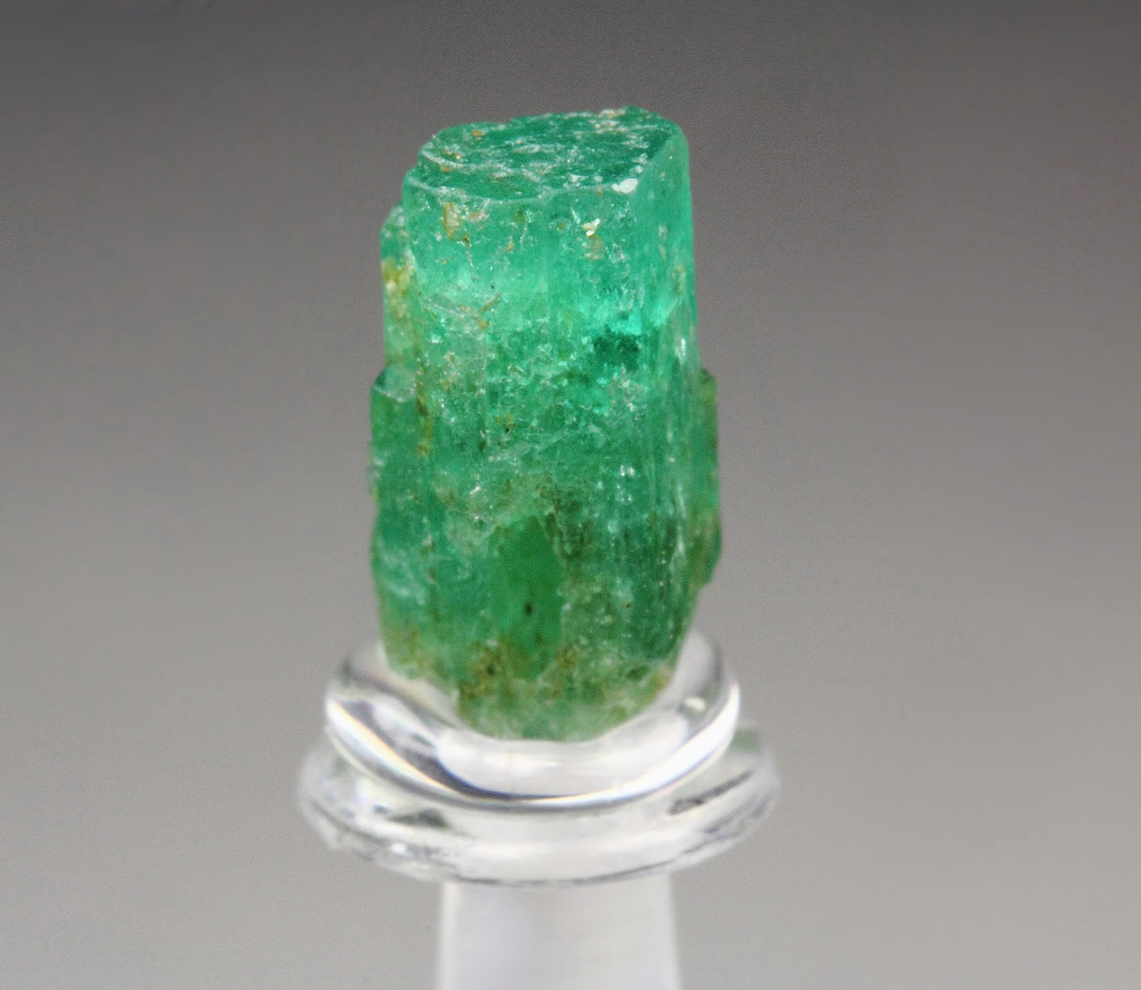 BERYL var. EMERALD