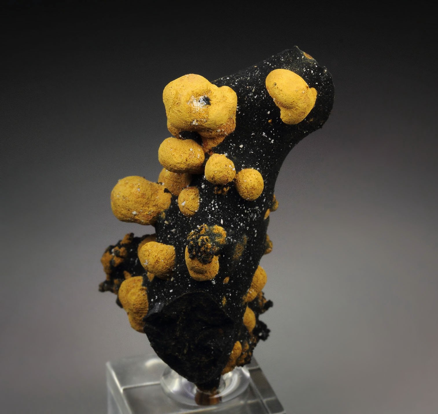 new find - ROMANECHITE, GOETHITE