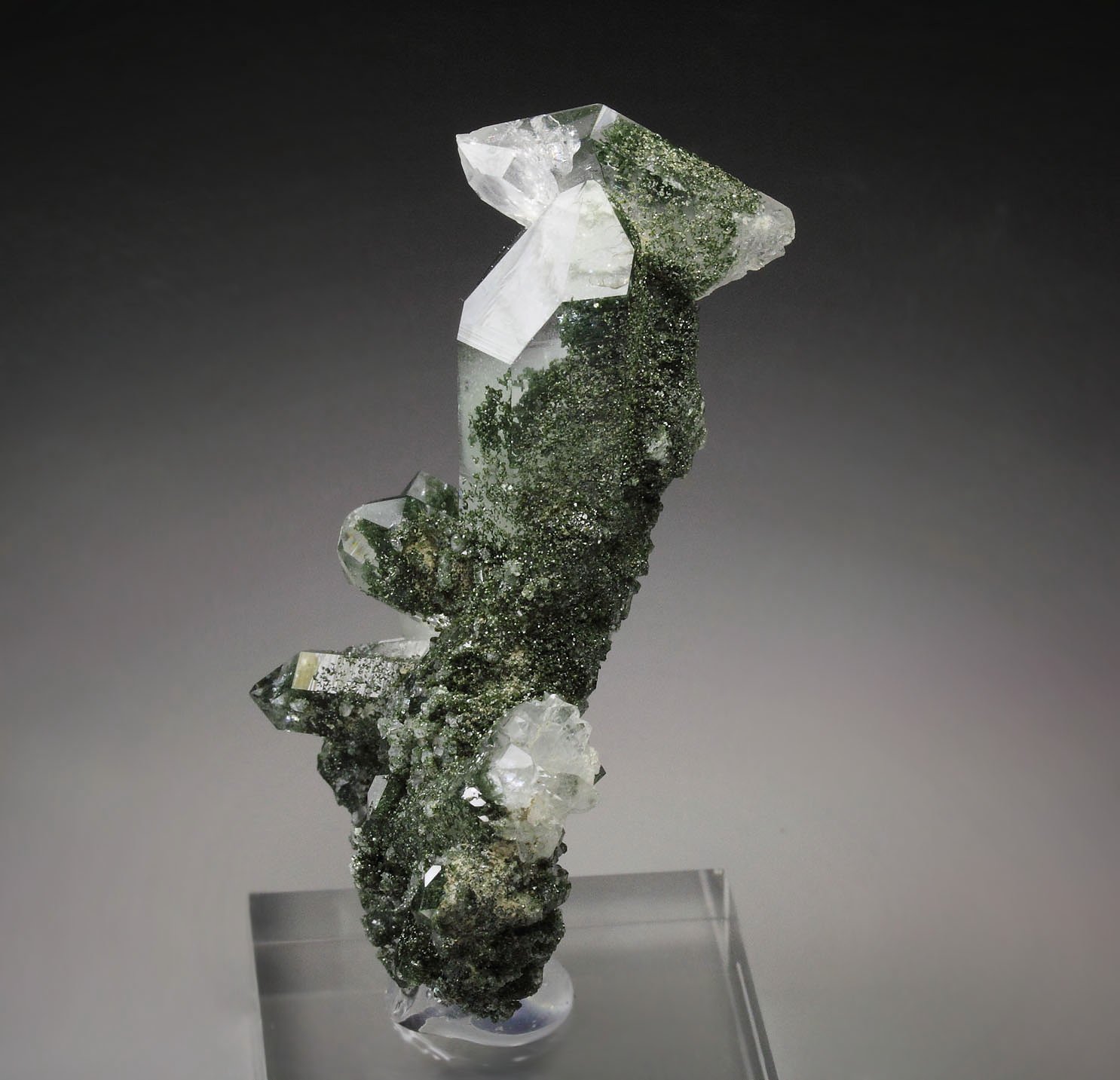 QUARTZ with CHLORITE GROUP inclusions