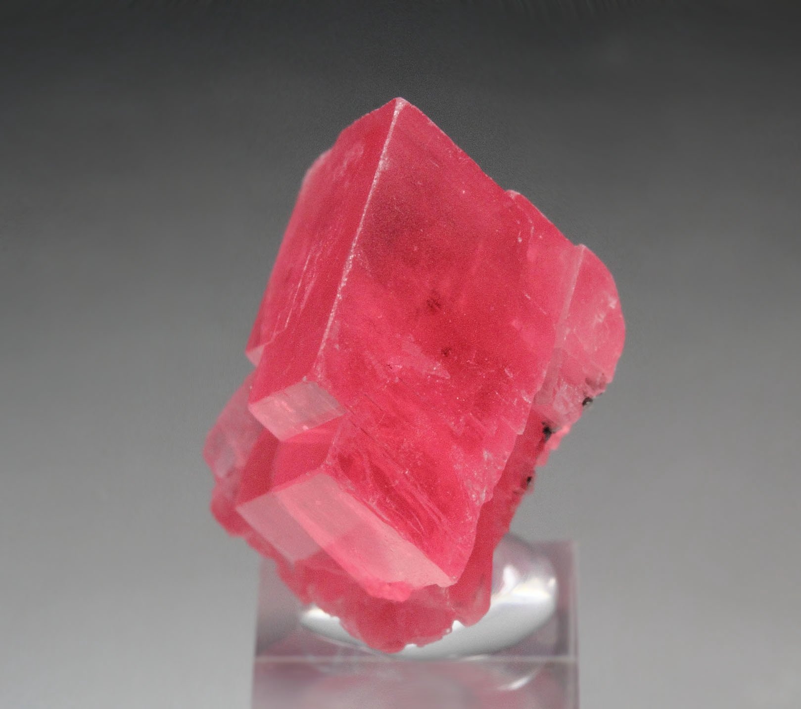 gemmy RHODOCHROSITE