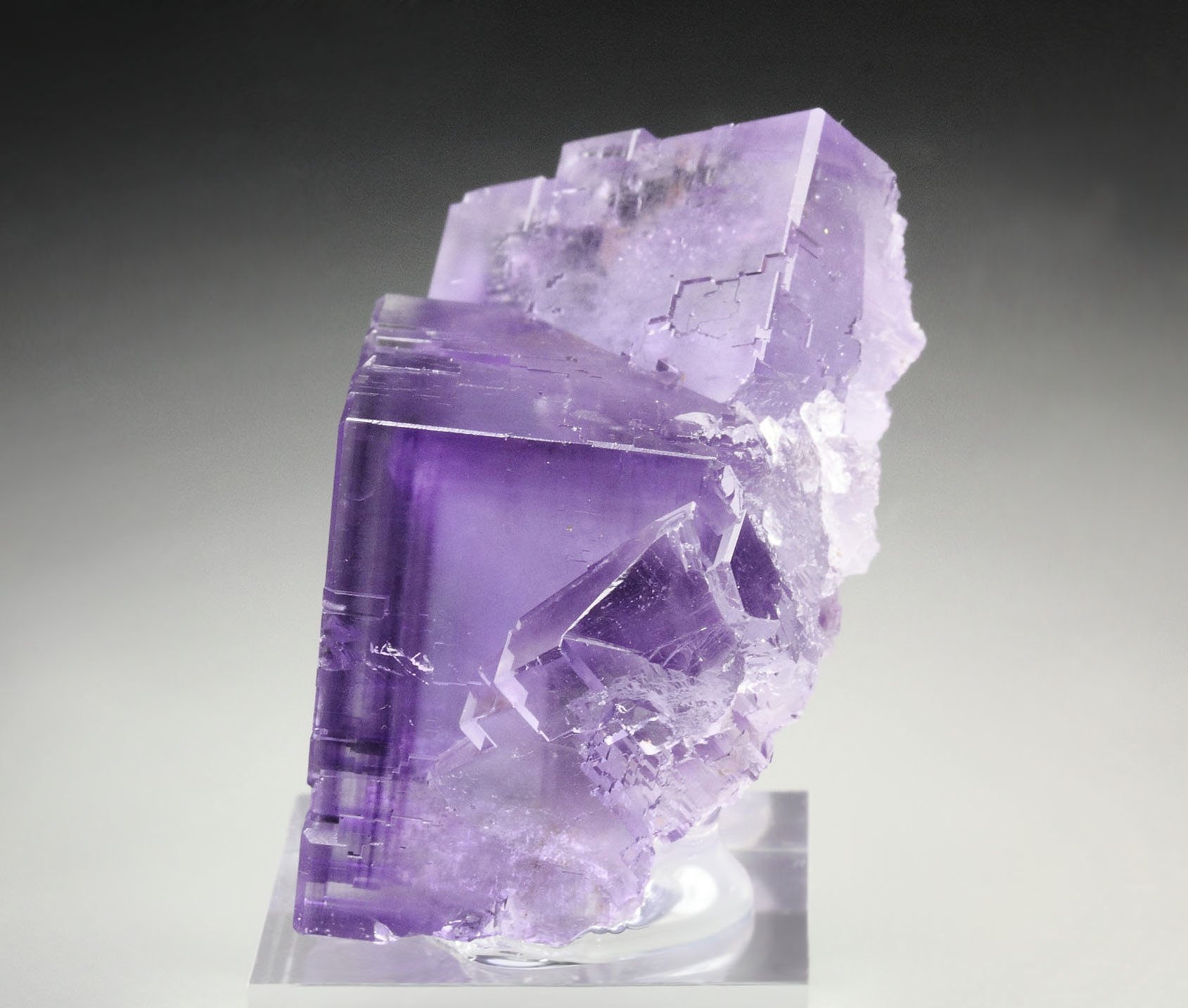 FLUORITE with PHANTOMS