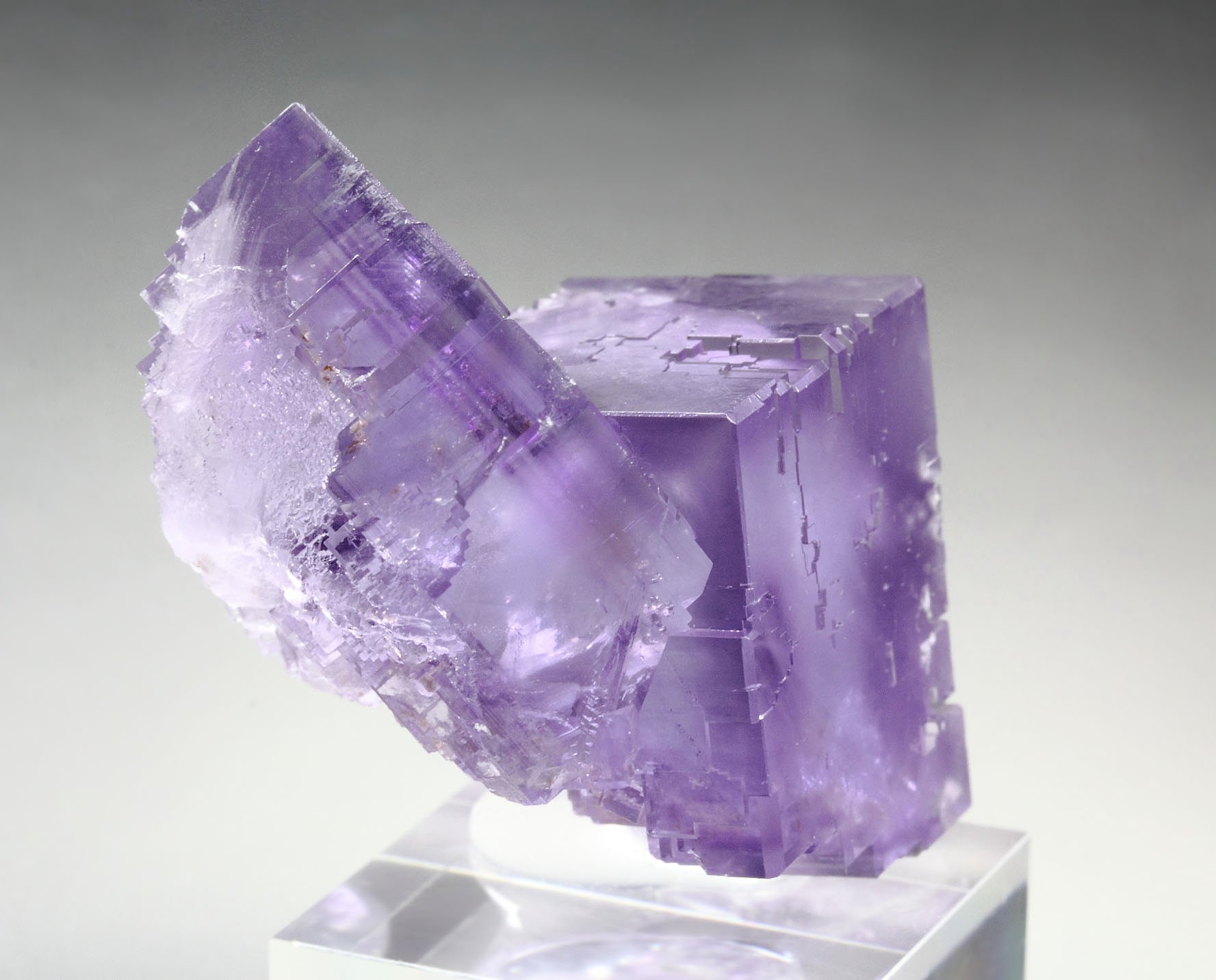 FLUORITE with PHANTOMS