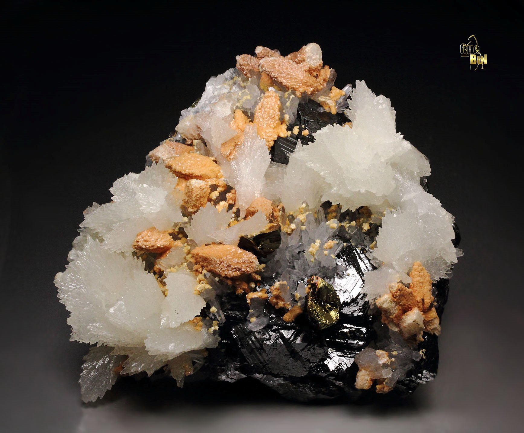 CALCITE, DOLOMITE, CHALCOPYRITE, SPHALERITE, QUARTZ