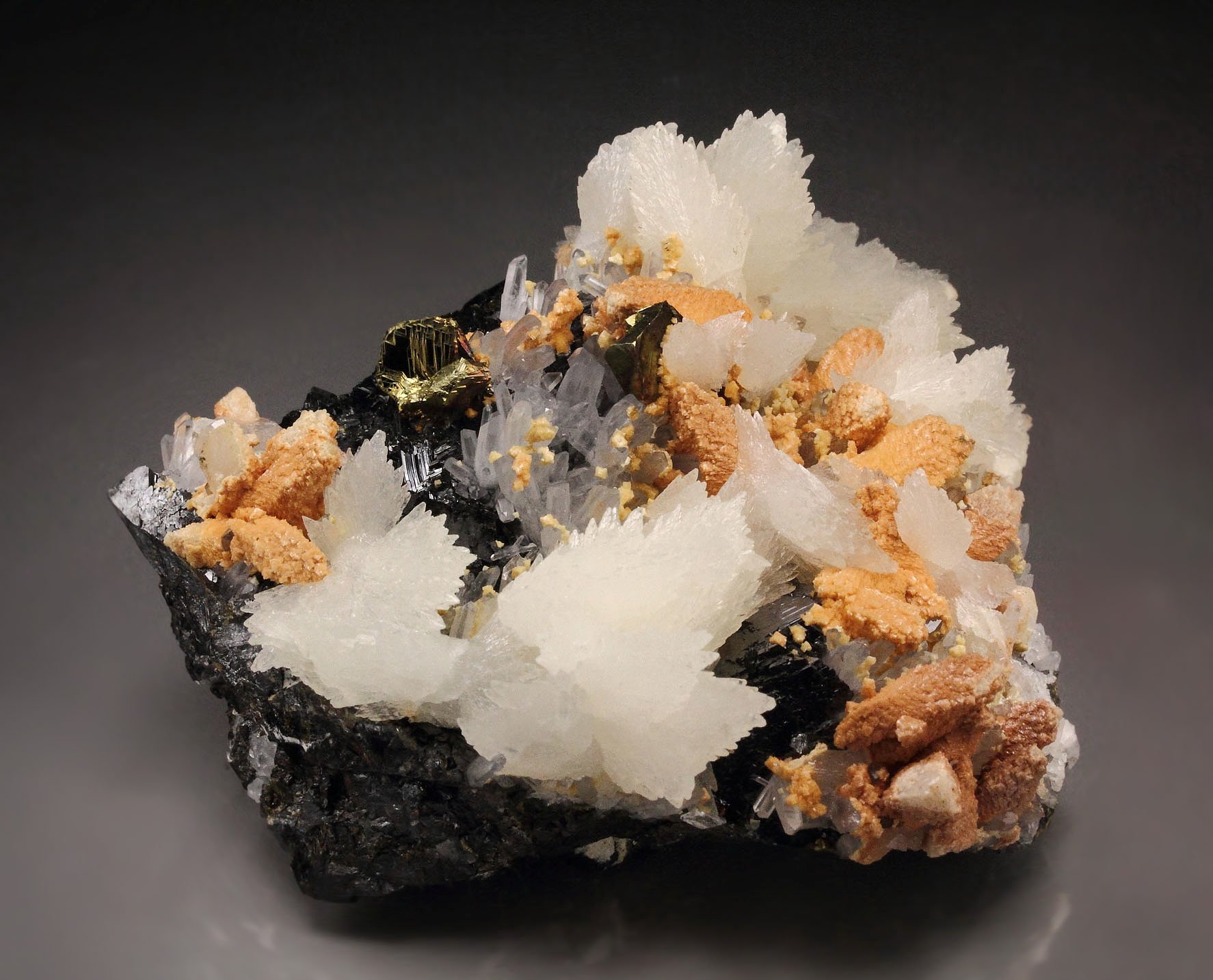 CALCITE, DOLOMITE, CHALCOPYRITE, SPHALERITE, QUARTZ